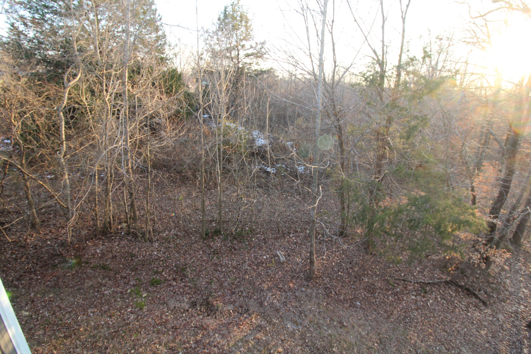 2227 Black Rd Property Photo 39