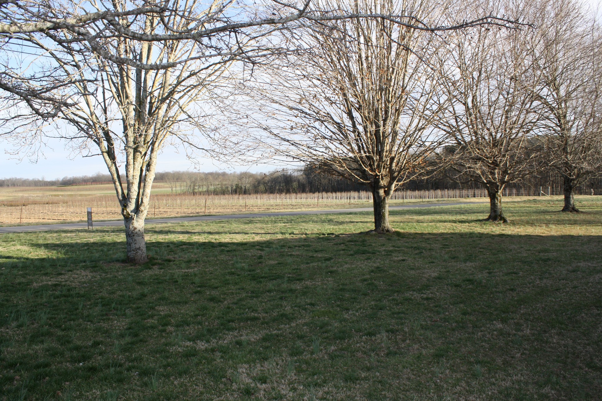2115 Merry Oaks Rd Property Photo 38
