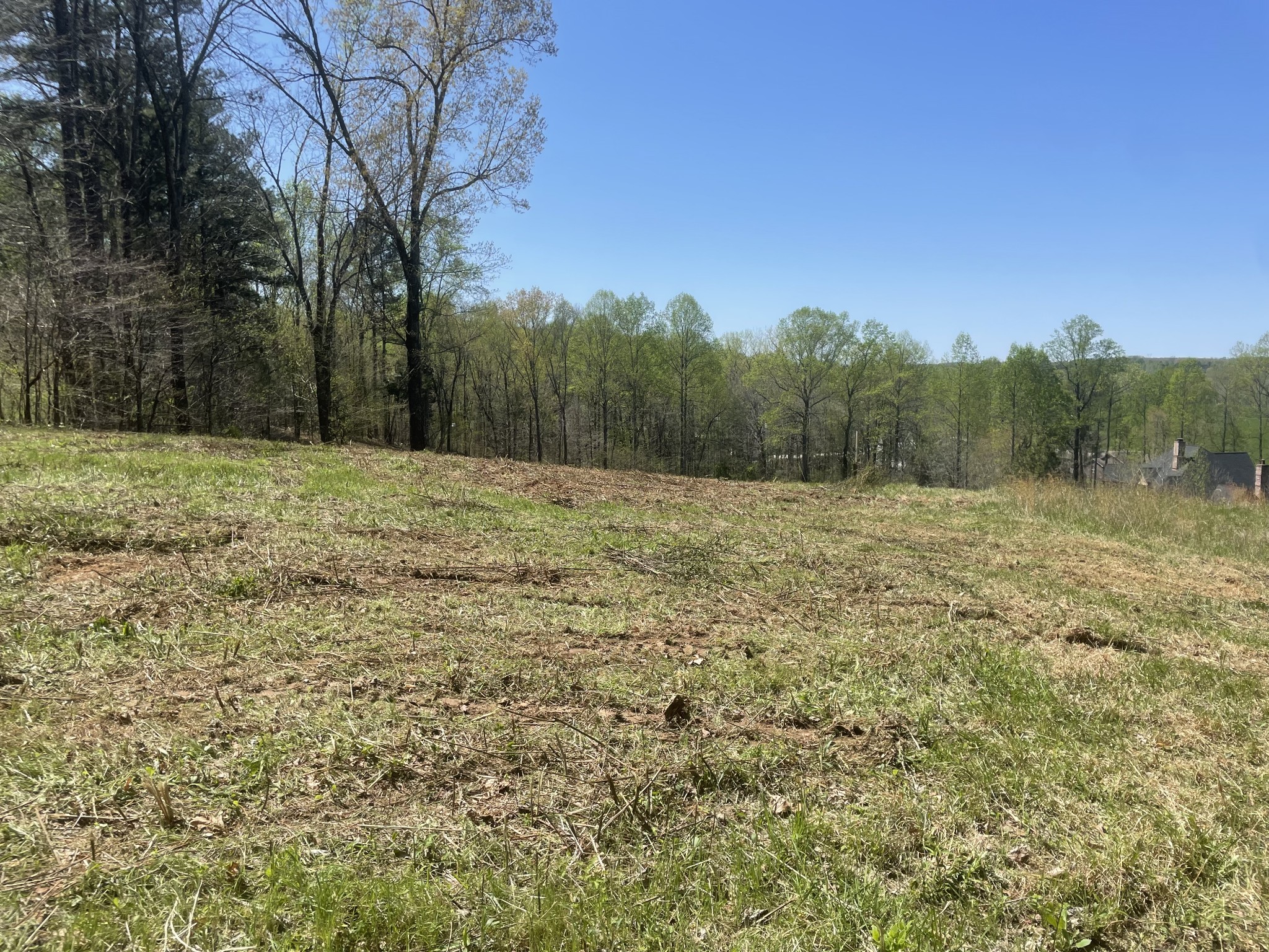 0 Treemont Drive Property Photo 1