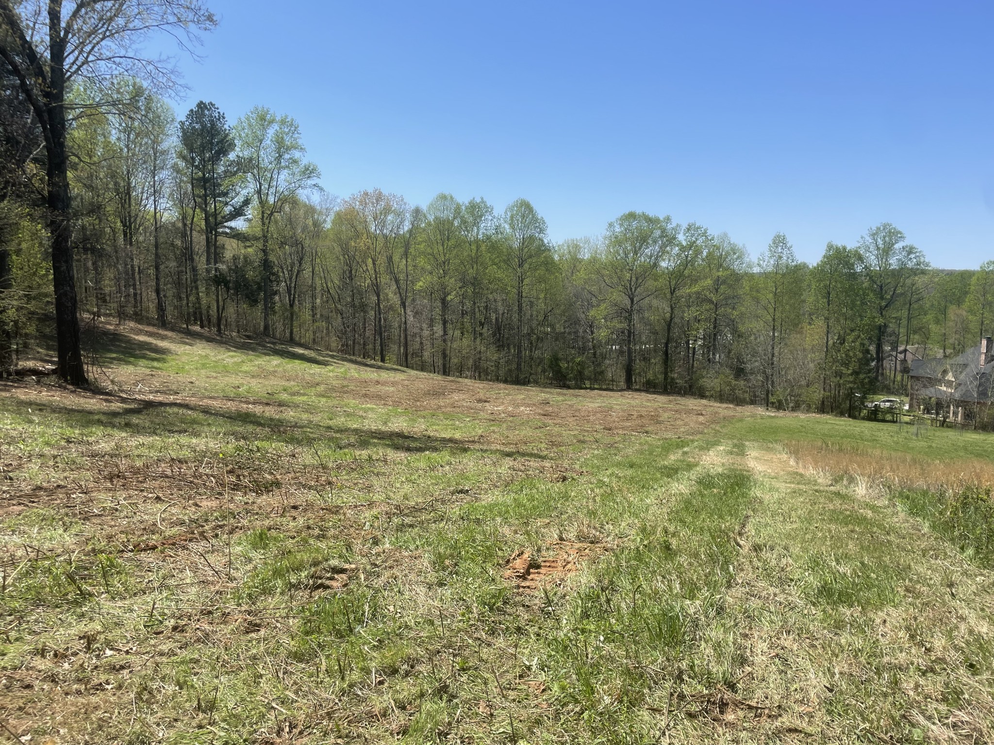 0 Treemont Drive Property Photo 2