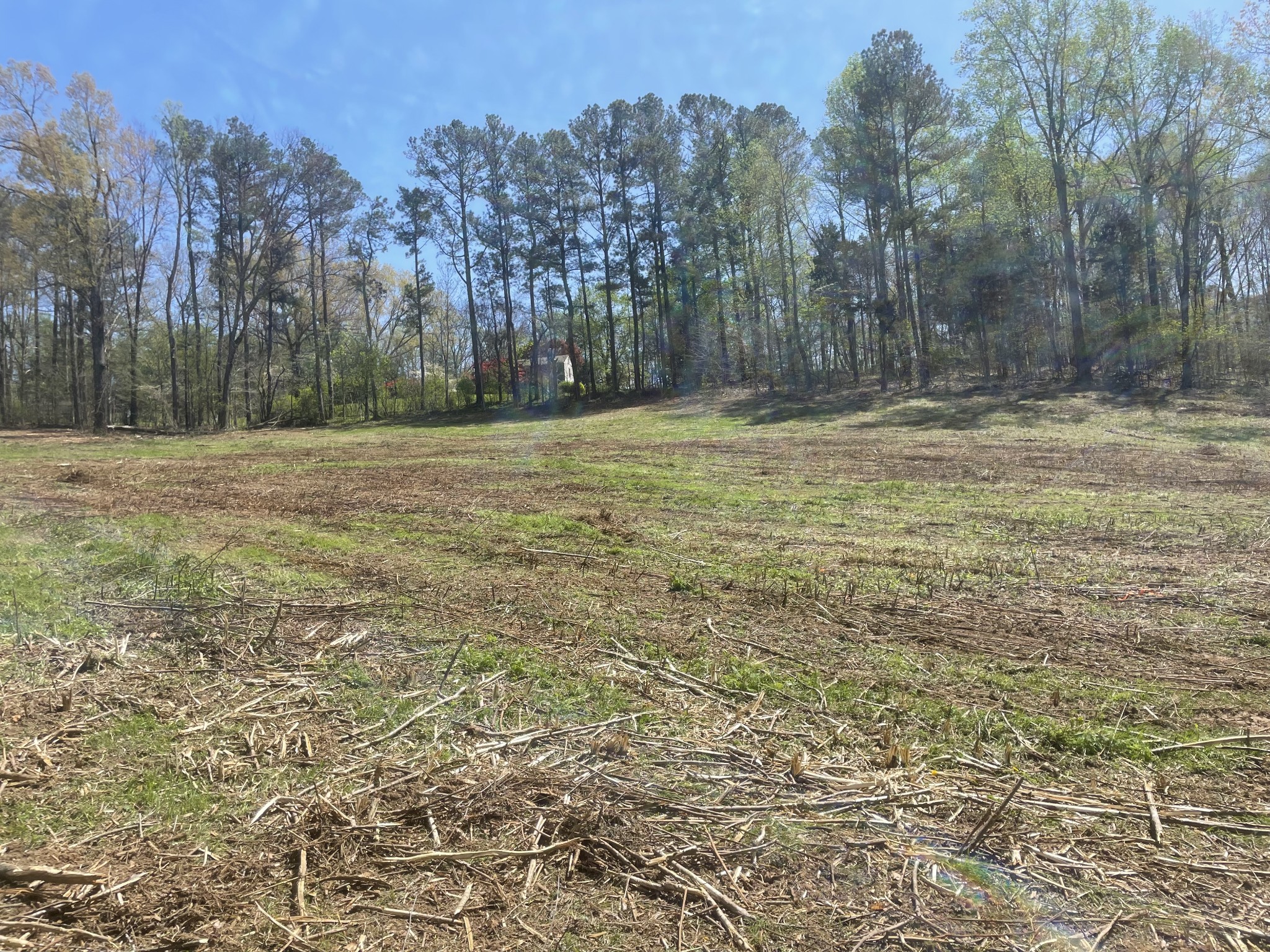0 Treemont Drive Property Photo 3