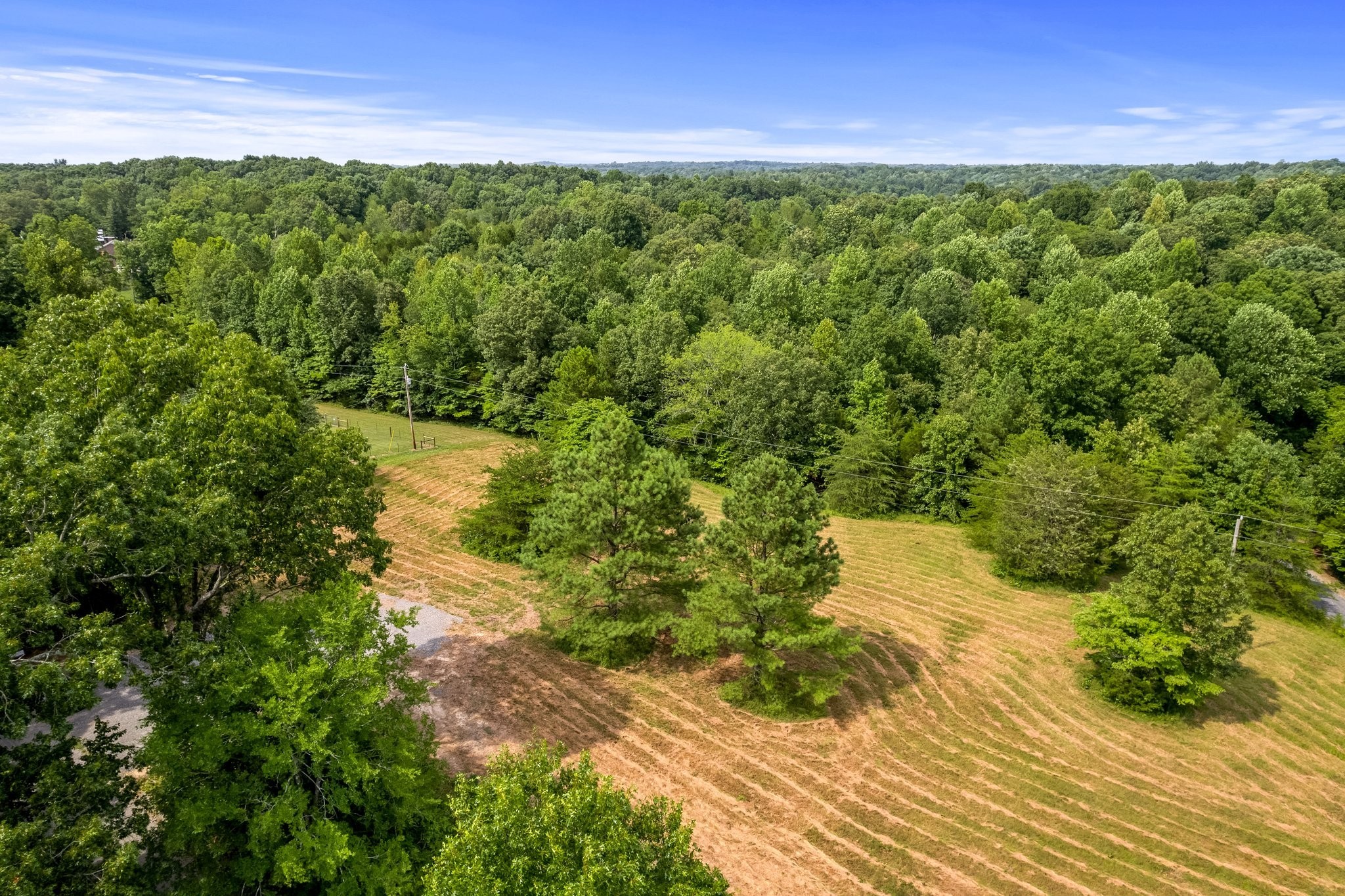 0 Buck Litton Rd Property Photo 3
