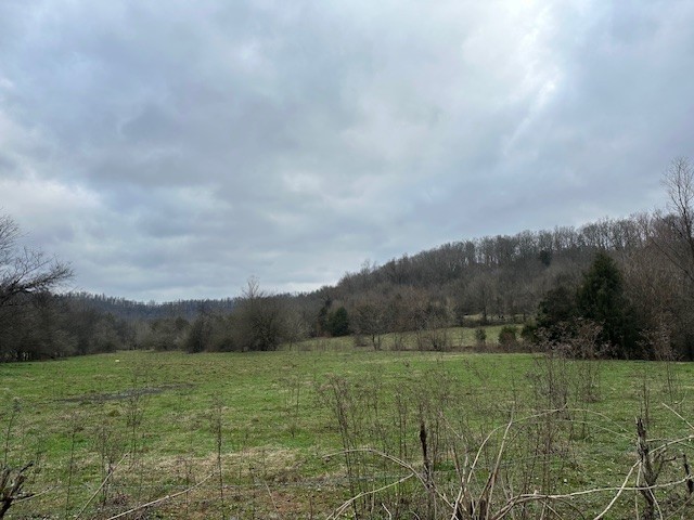 0 Petersburg Chestnut Ridge Rd Property Photo