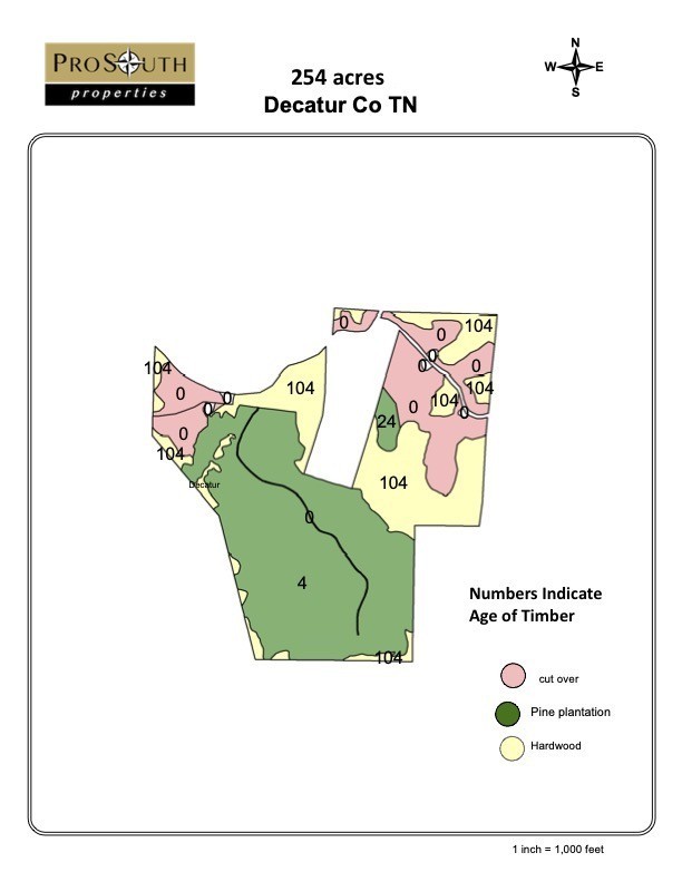 0 Low Gap Road Property Photo 8