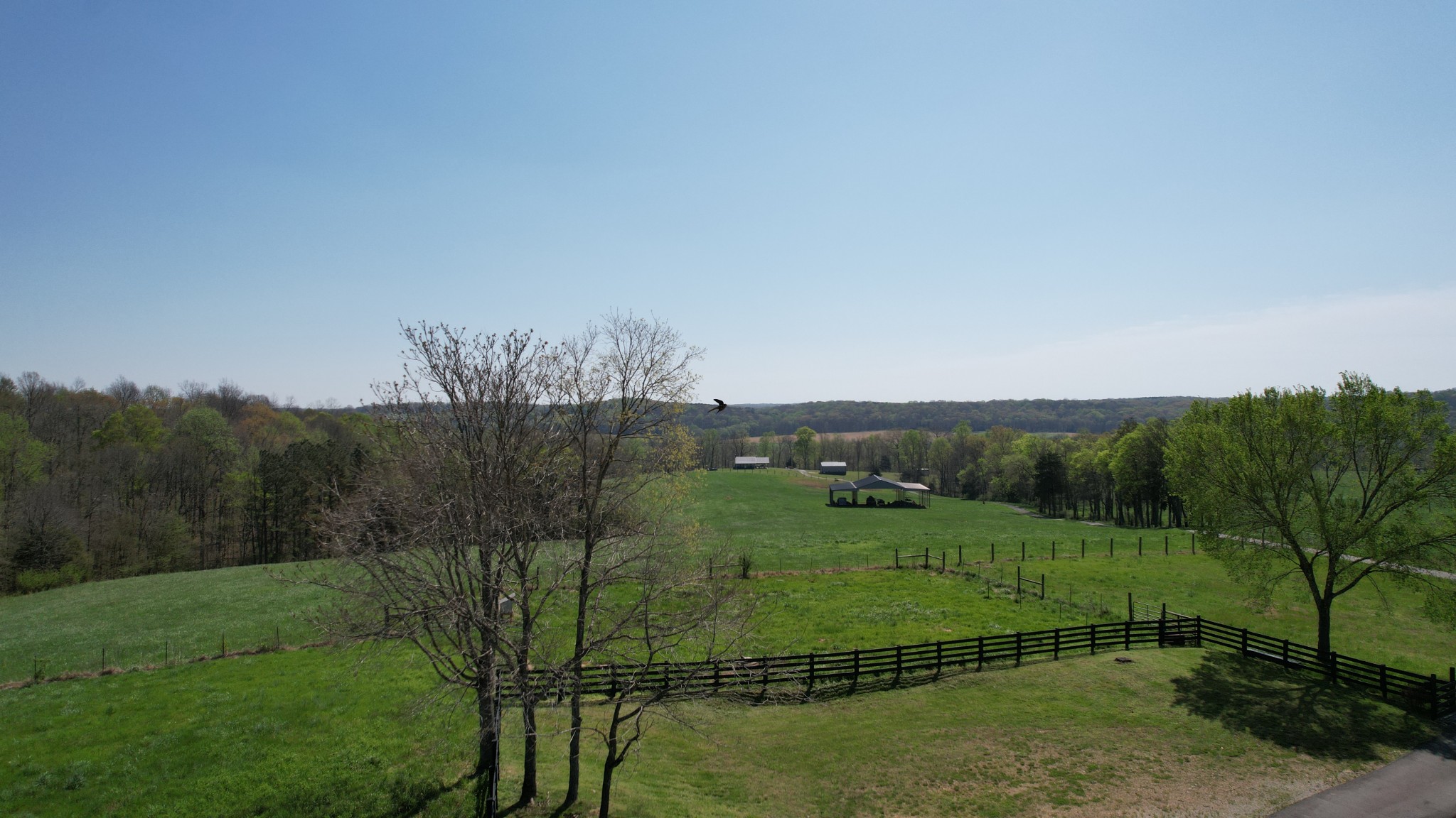 2723 Piney Rd Property Photo 5