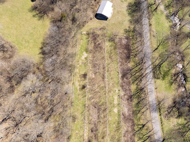 474 Bartlett Hollow Rd Property Photo 31