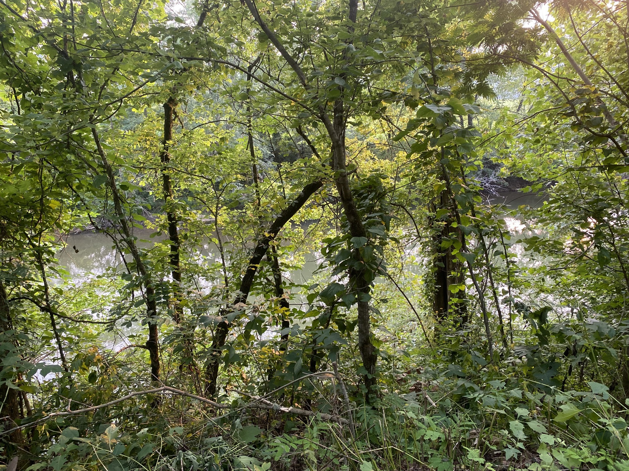 0 Smith Fork Rd Property Photo 3