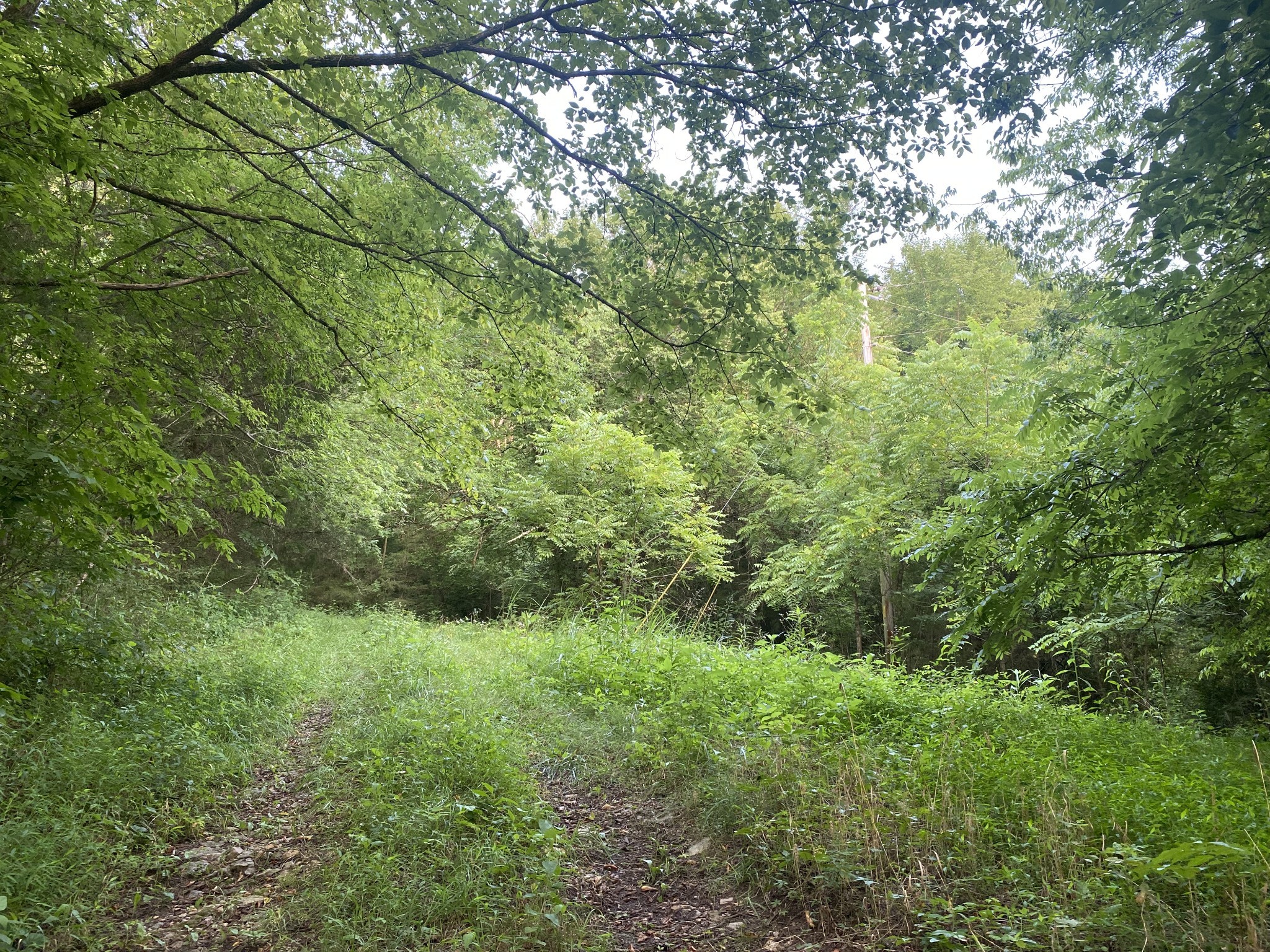 0 Smith Fork Rd Property Photo 11