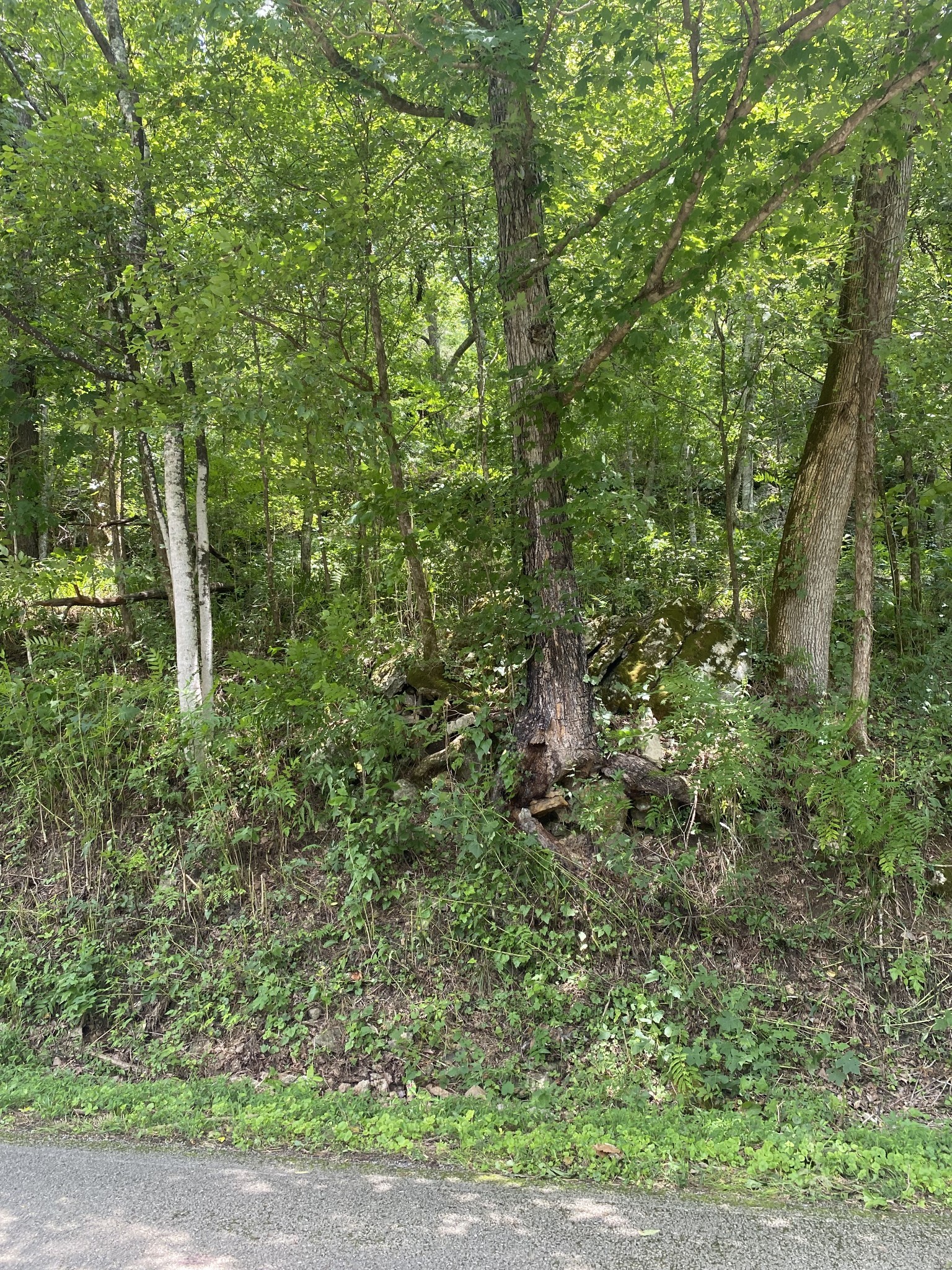 0 Smith Fork Rd Property Photo 14