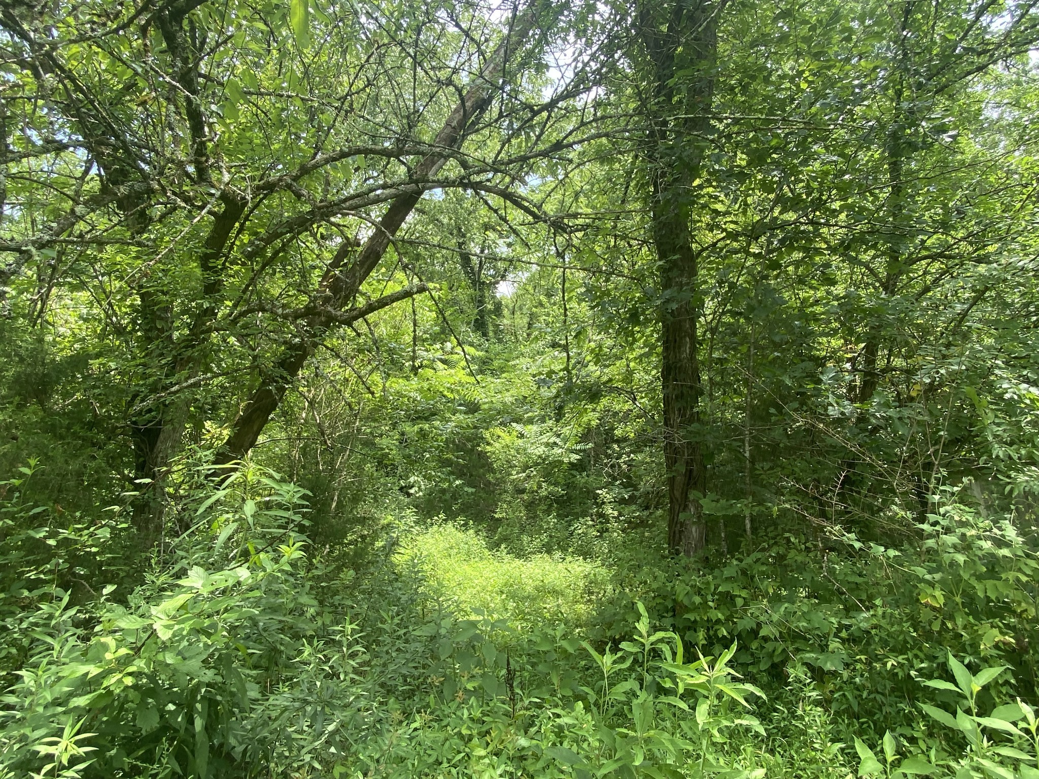 0 Smith Fork Rd Property Photo 16