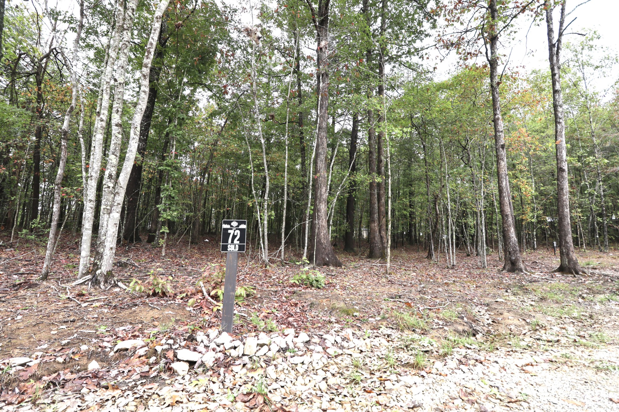72 Woodly Branch Way Property Photo 1
