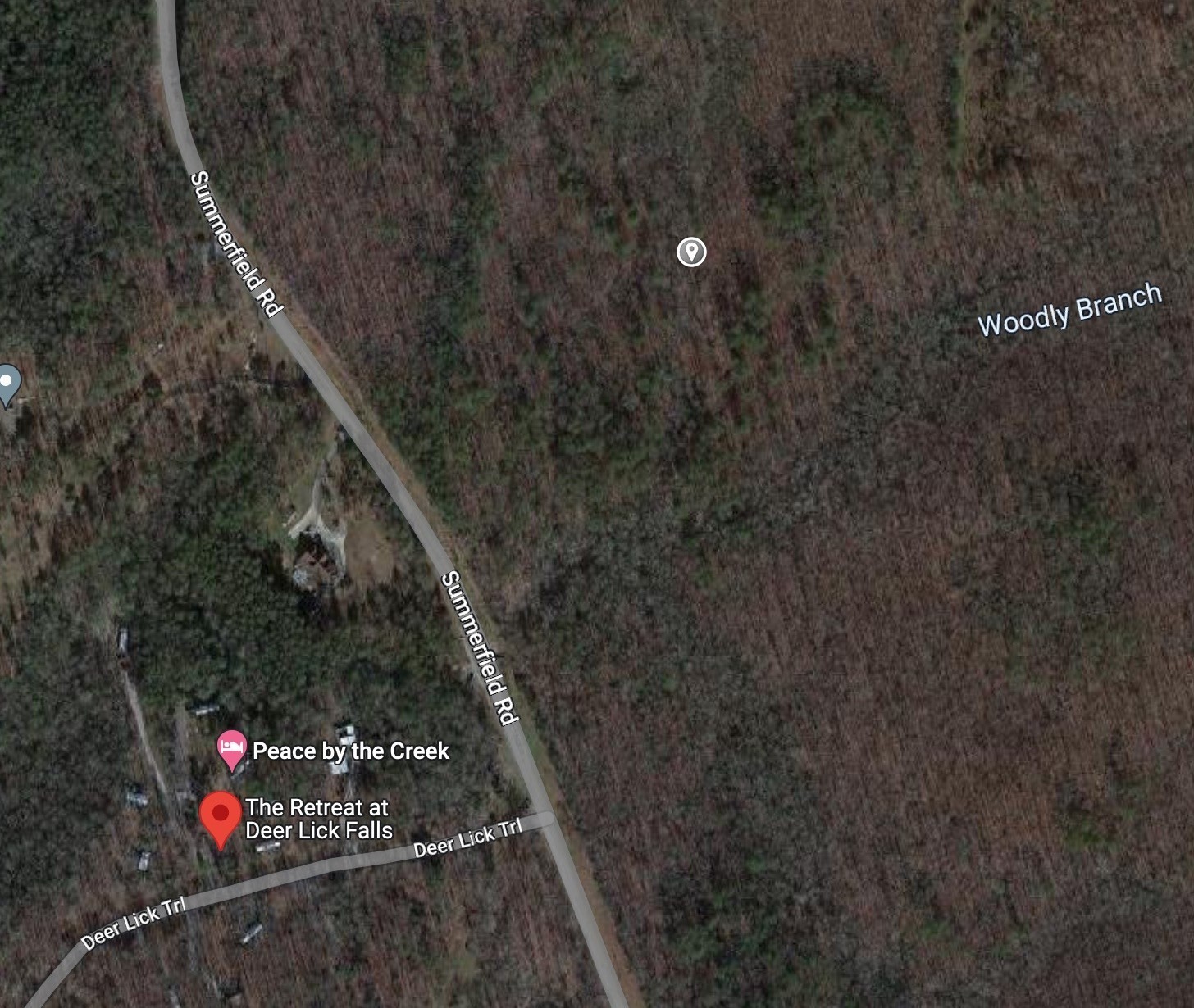 72 Woodly Branch Way Property Photo 10