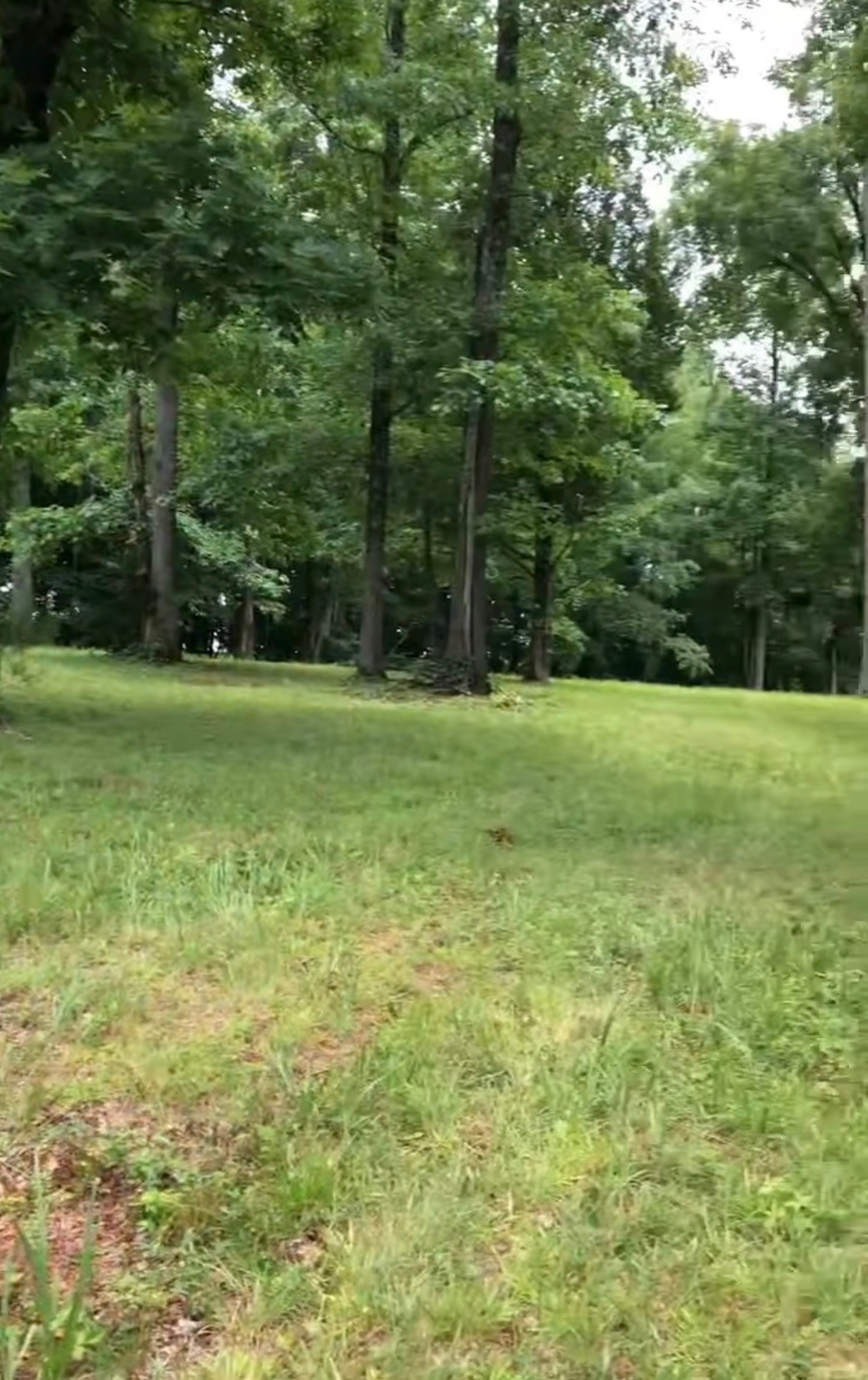 5 Ky Highway 1351 Property Photo 1
