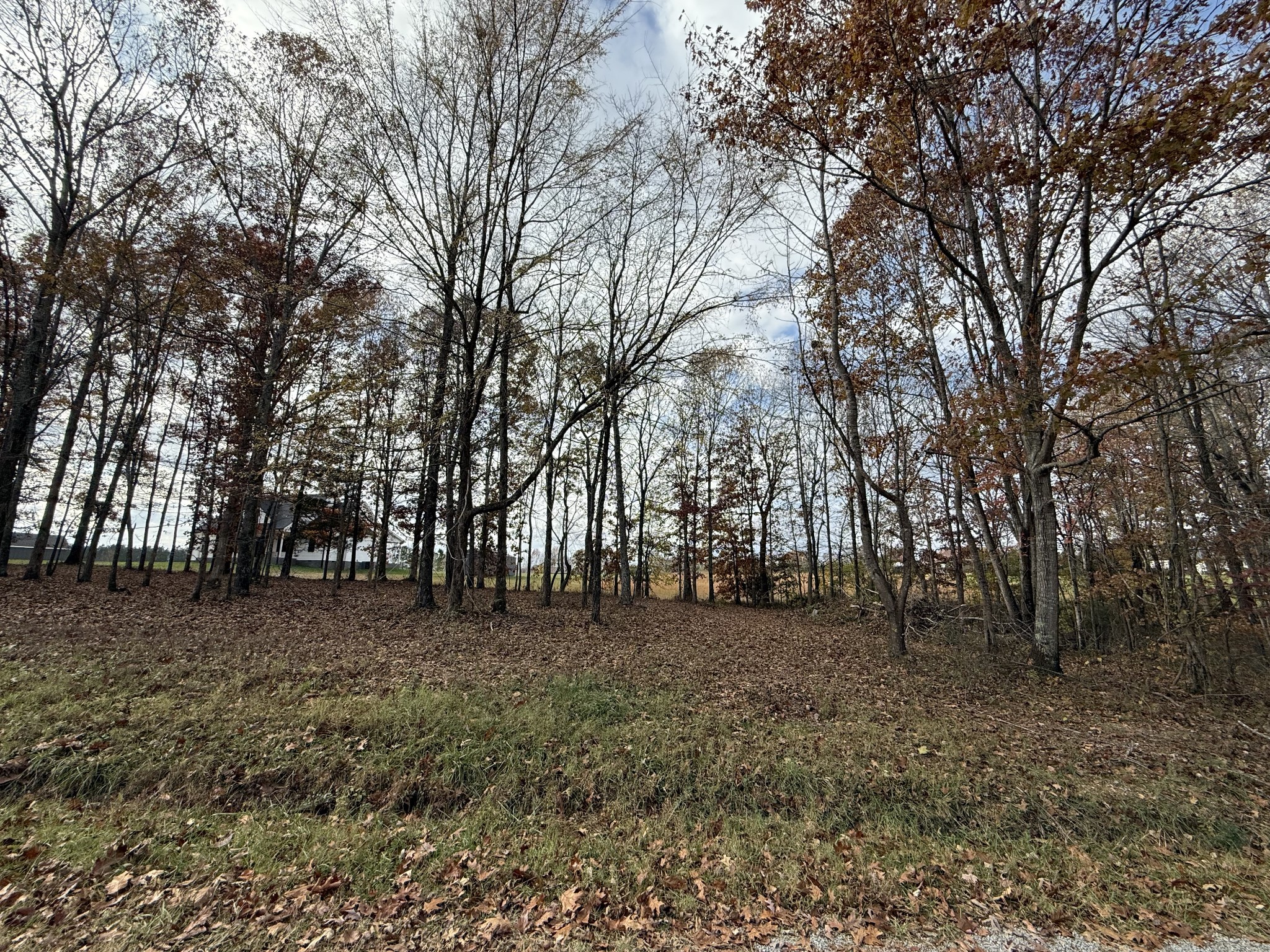 0 Cotton Ln Property Photo