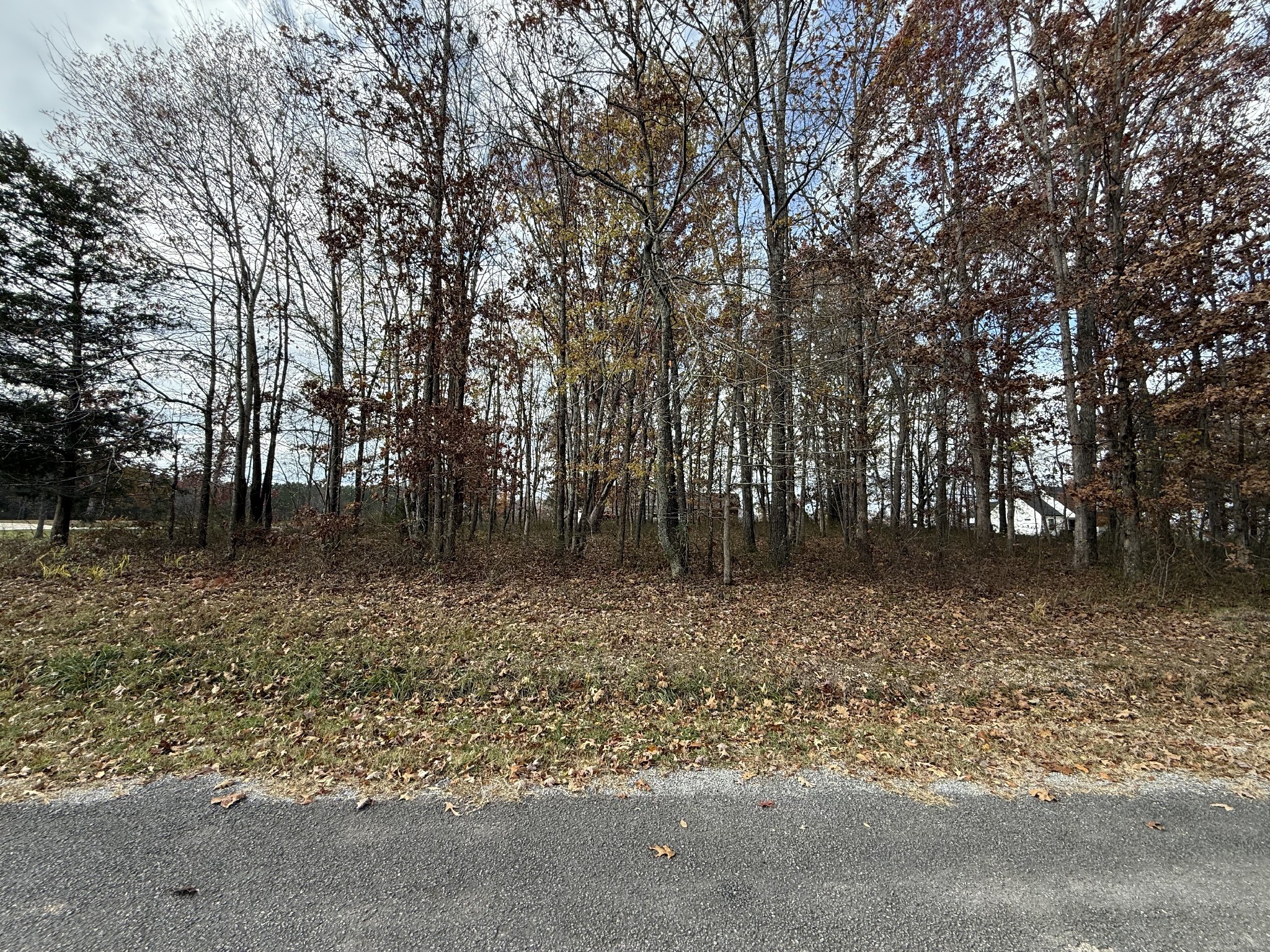 0 Cotton Ln Property Photo 2