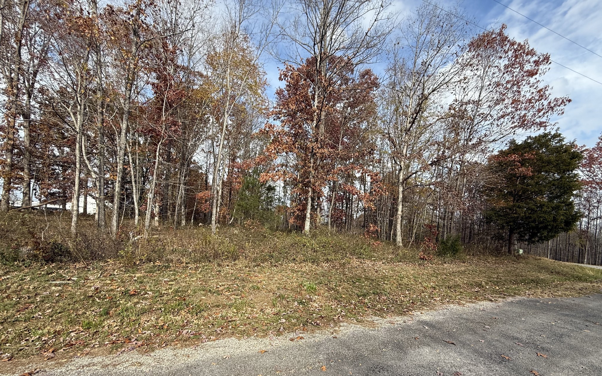 0 Cotton Ln Property Photo 3