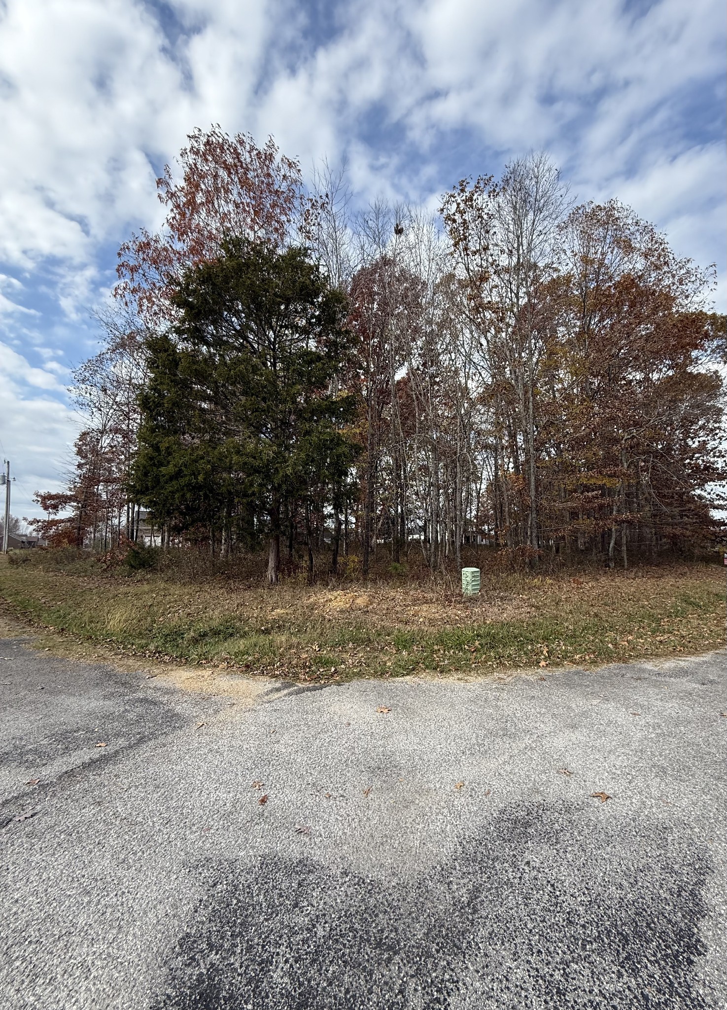 0 Cotton Ln Property Photo 4
