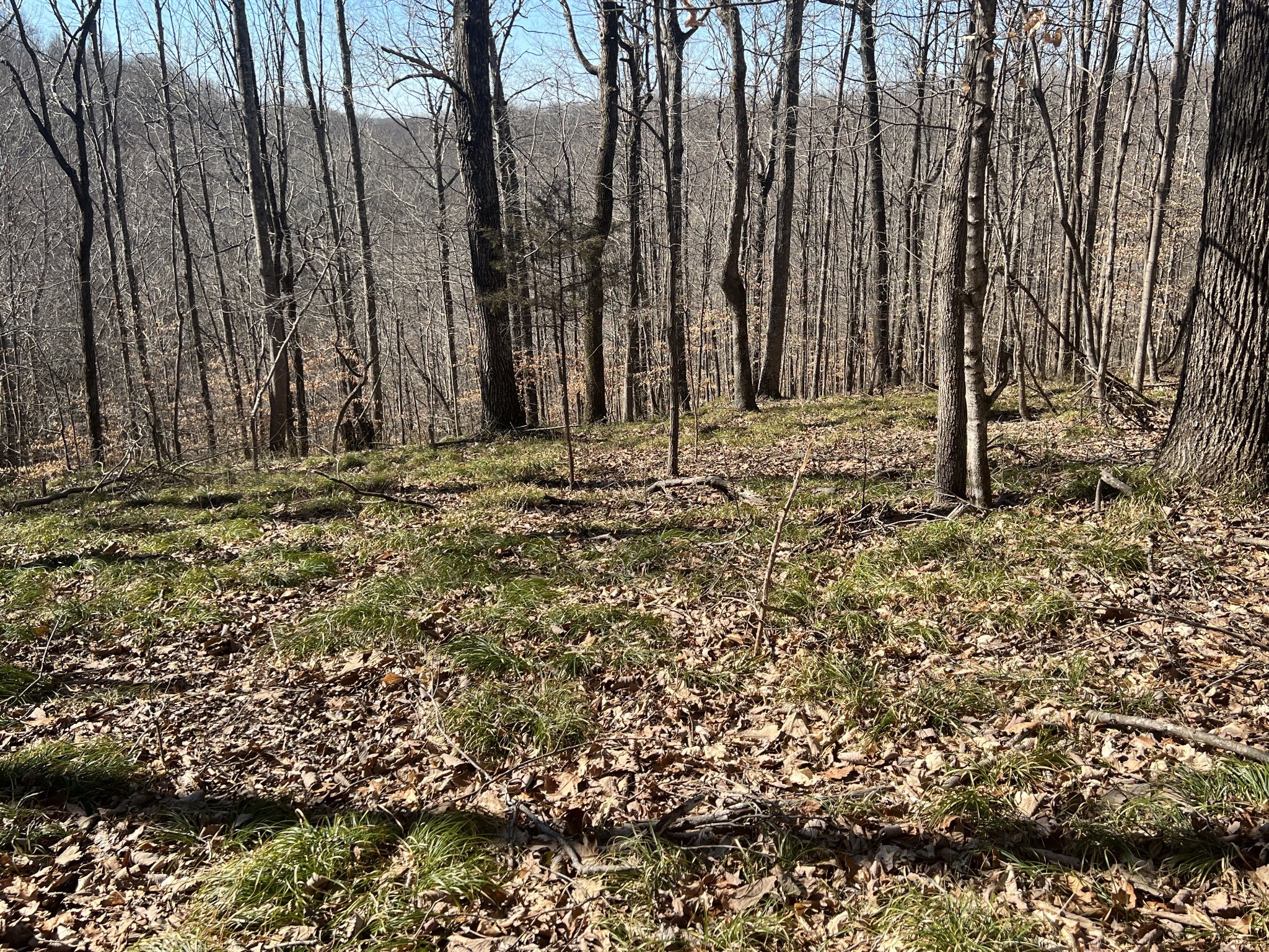 0 Kirby Hill Rd Property Photo 8