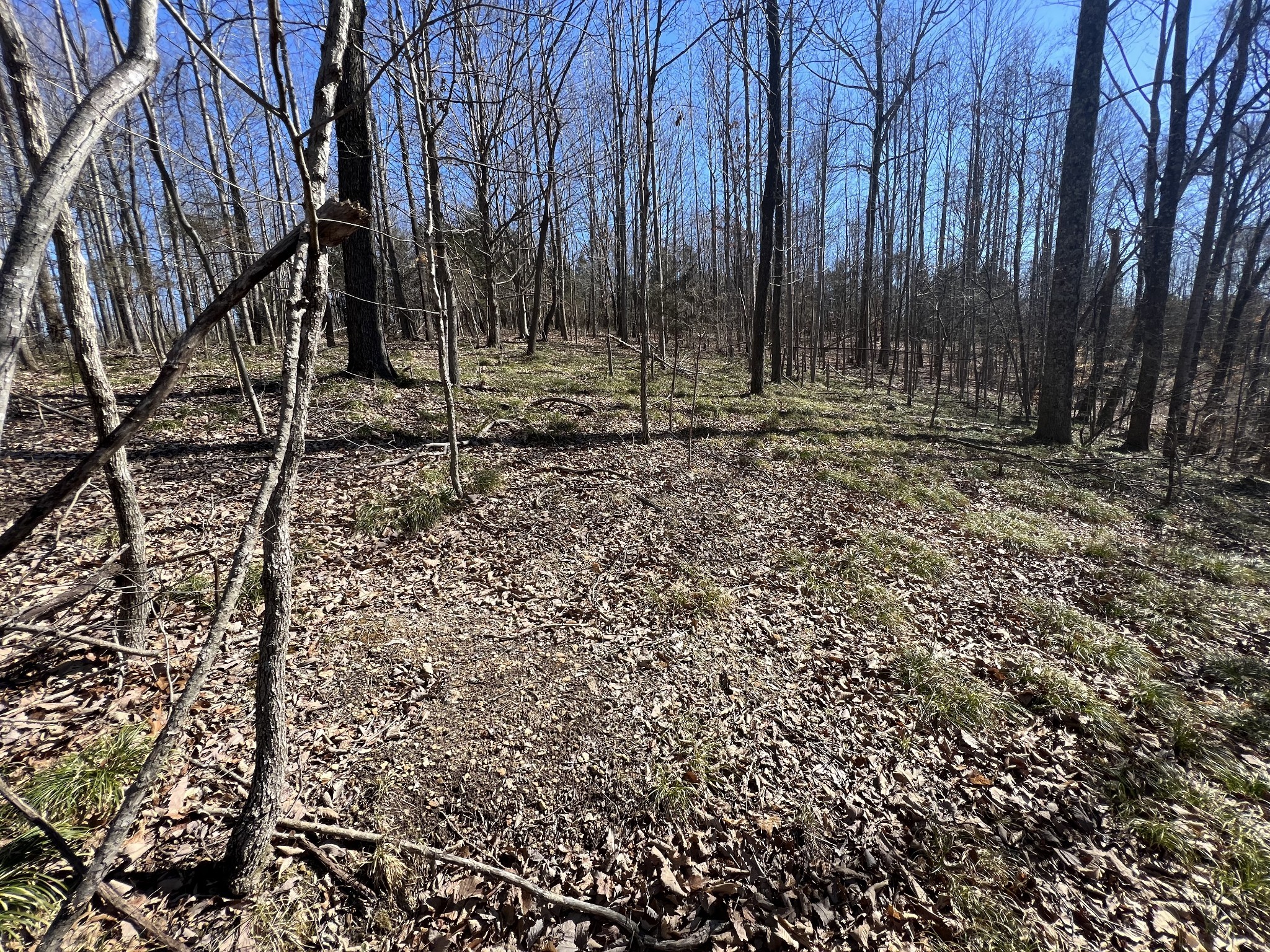 0 Kirby Hill Rd Property Photo 10