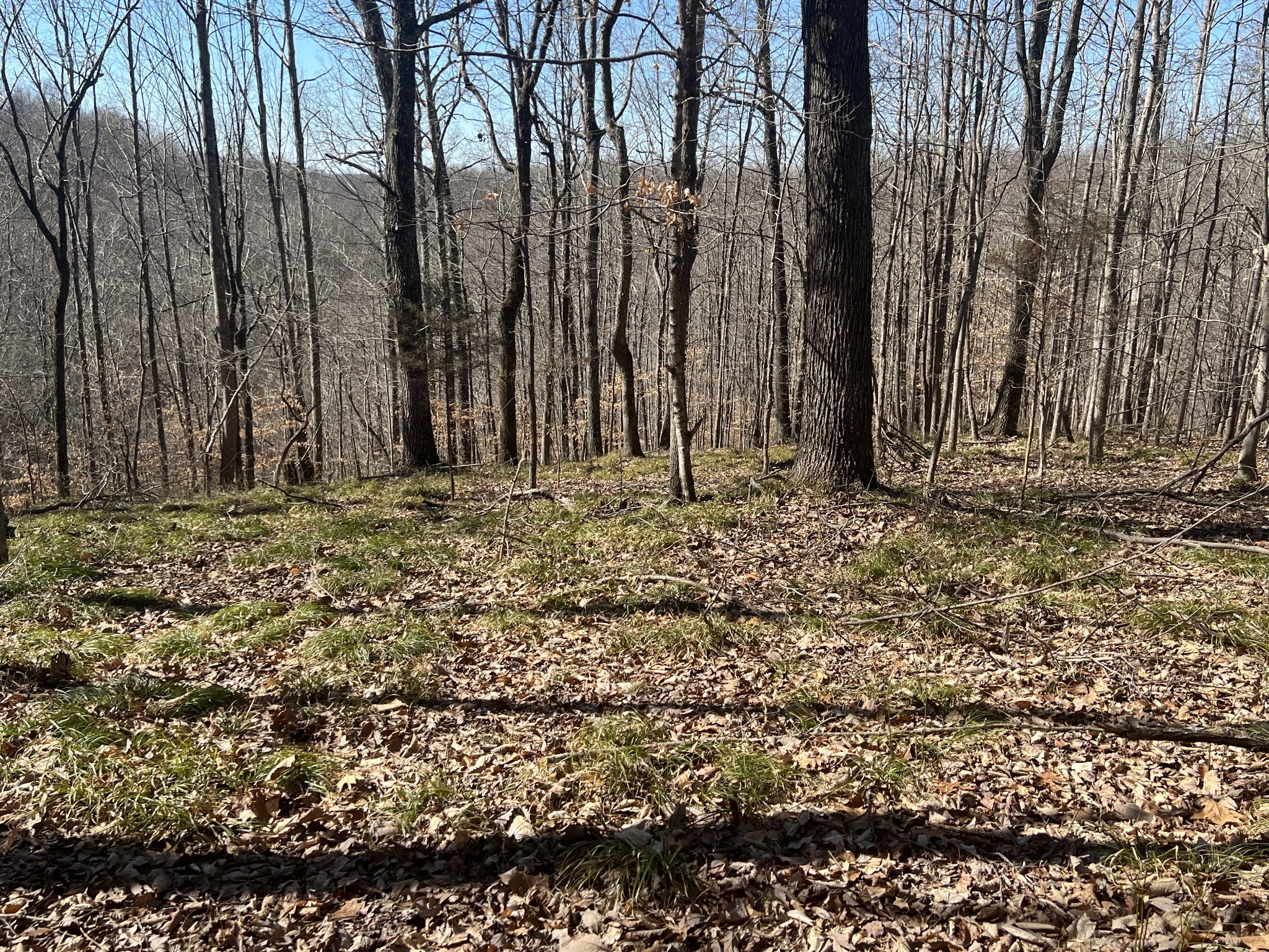 0 Kirby Hill Rd Property Photo 11