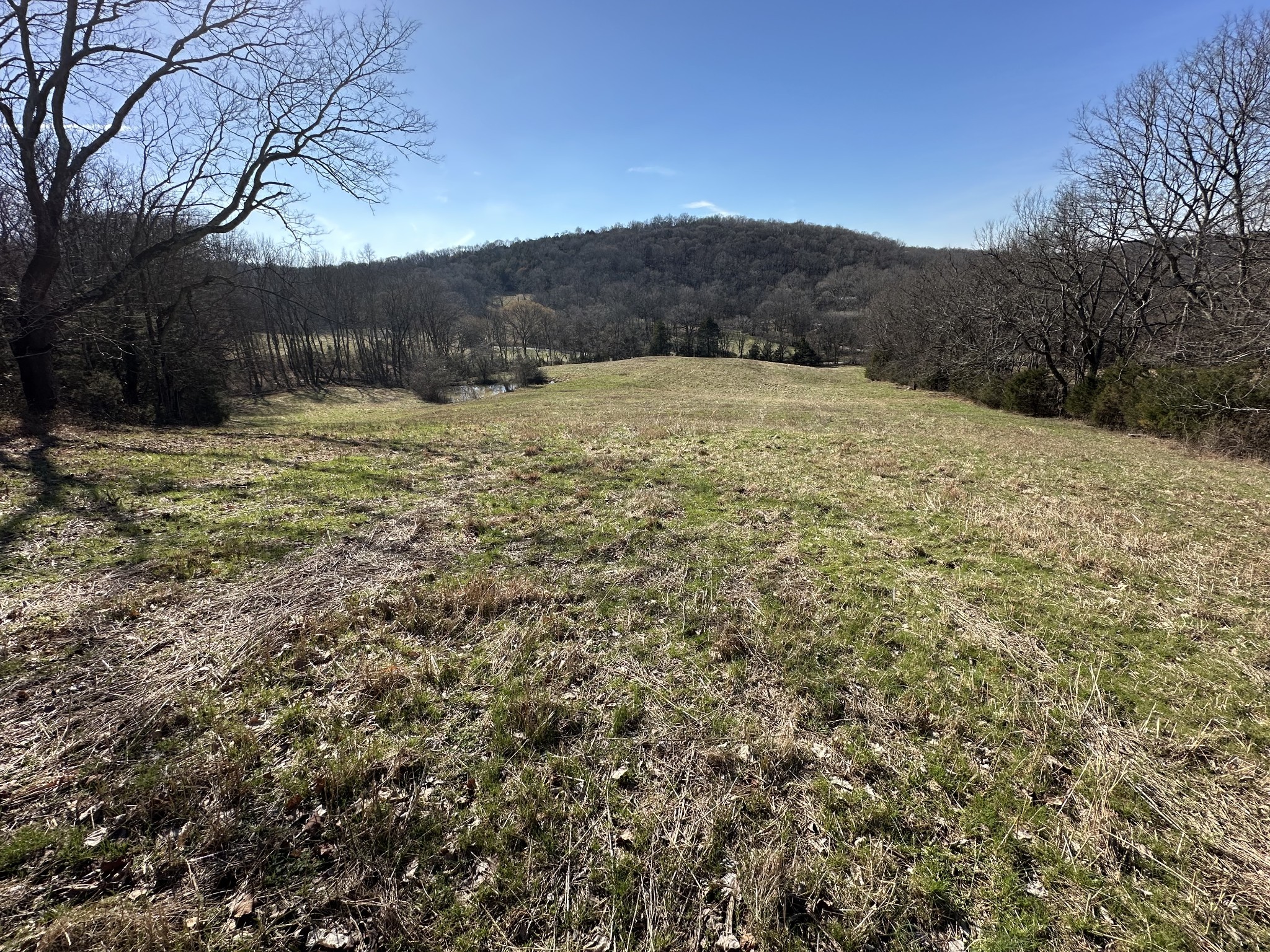 267 Grant Rd Property Photo 17