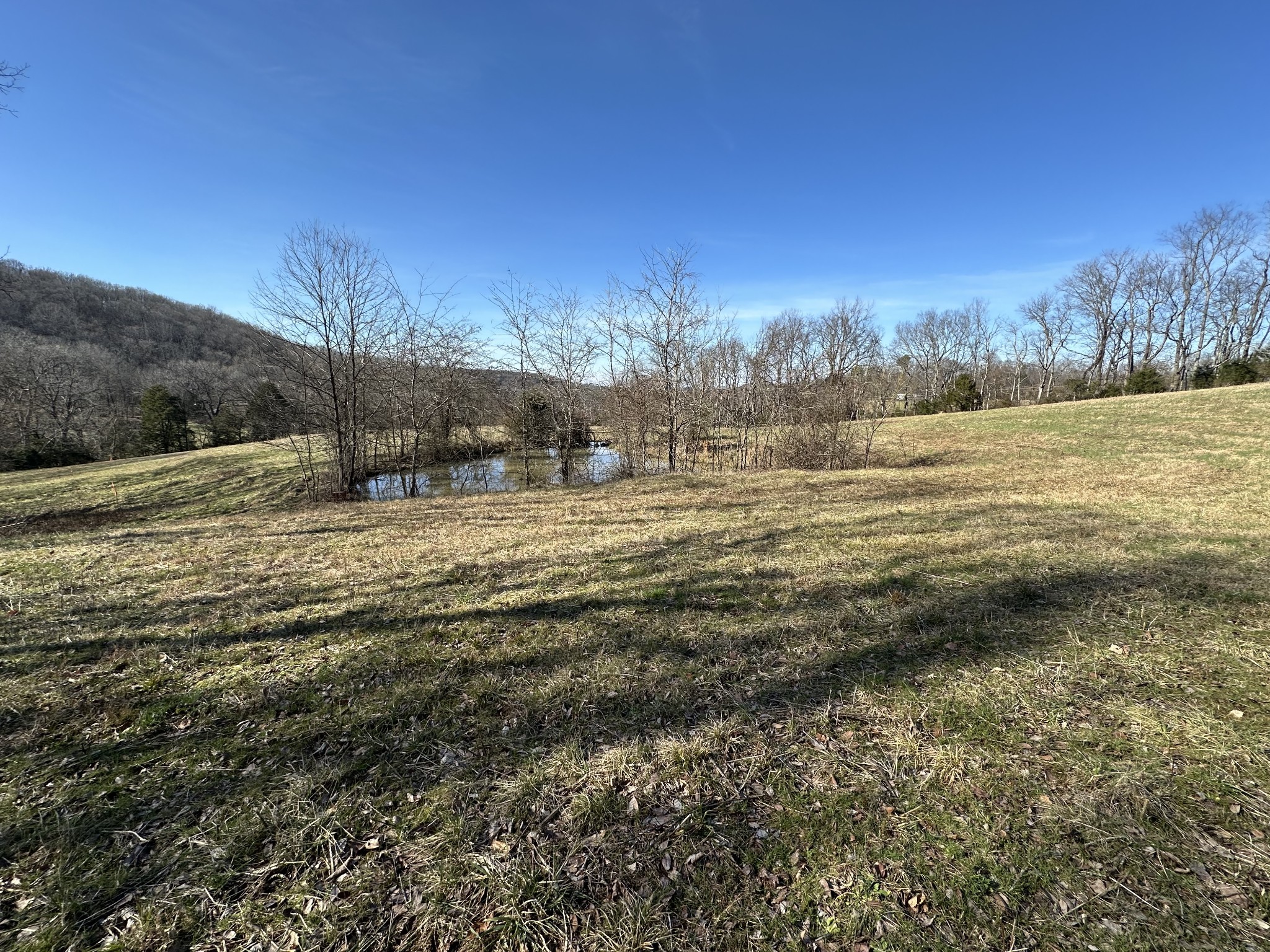 267 Grant Rd Property Photo 18