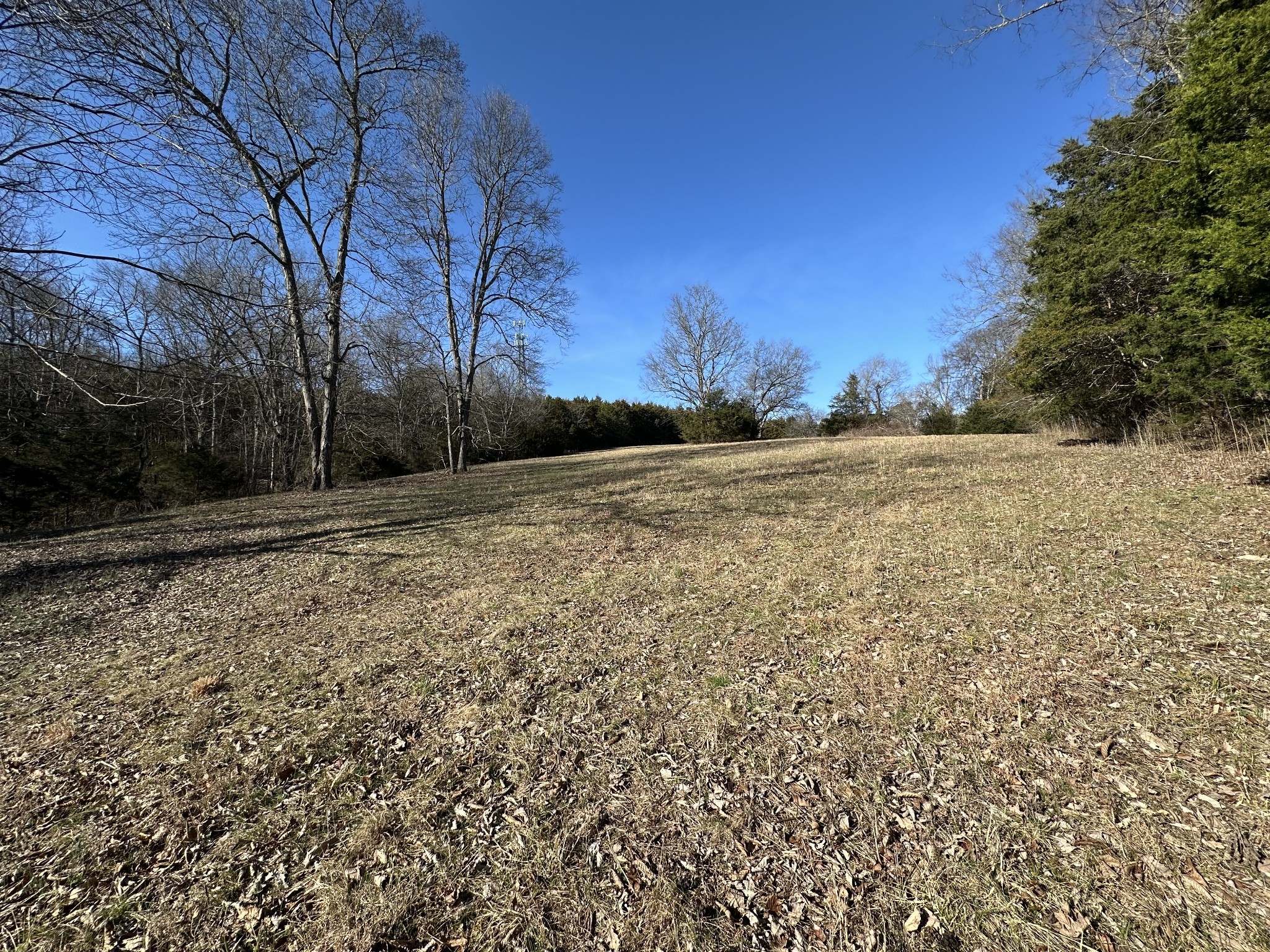 267 Grant Rd Property Photo 36