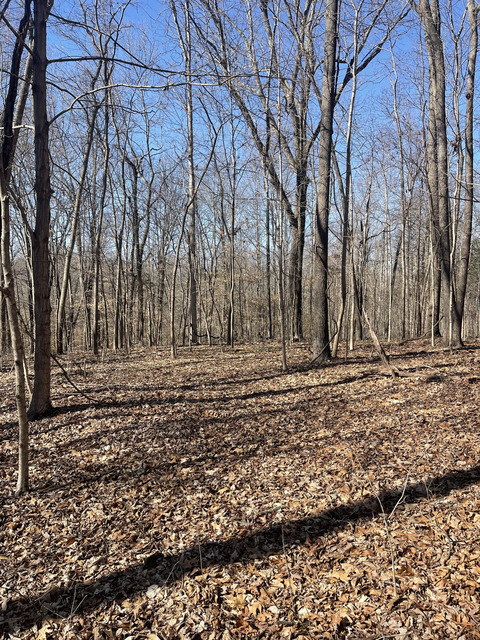165 Pleasant Hill Road Property Photo