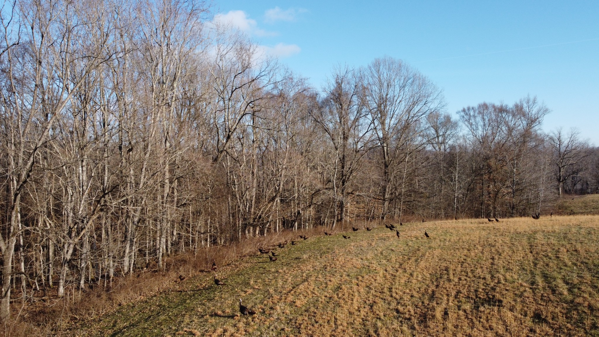 0 Cooksey Batson Rd Property Photo 19
