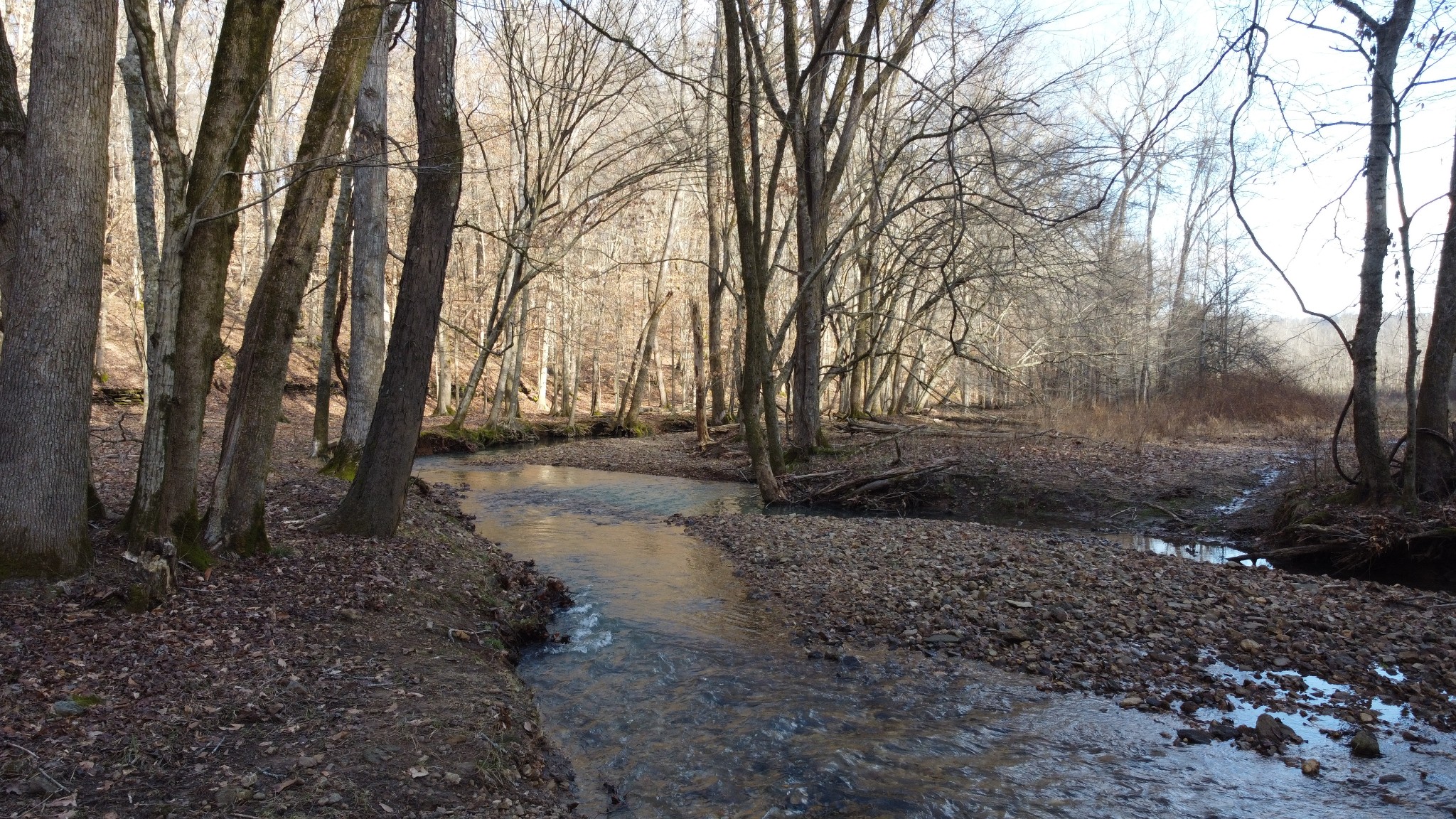 0 Cooksey Batson Rd Property Photo 23