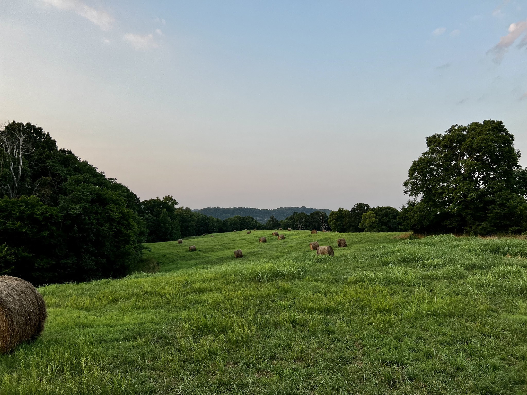 0 Cooksey Batson Rd Property Photo 28
