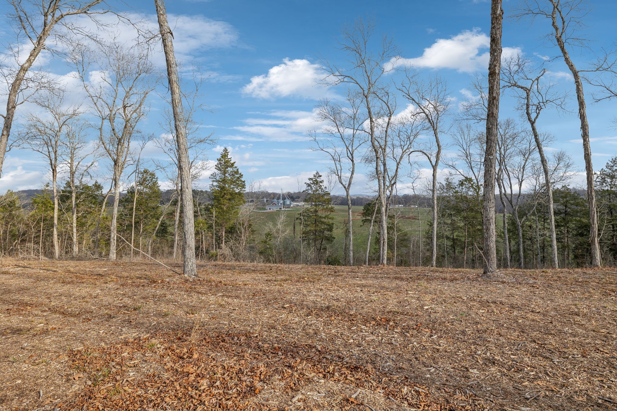 0 Franklin Pike Property Photo 7