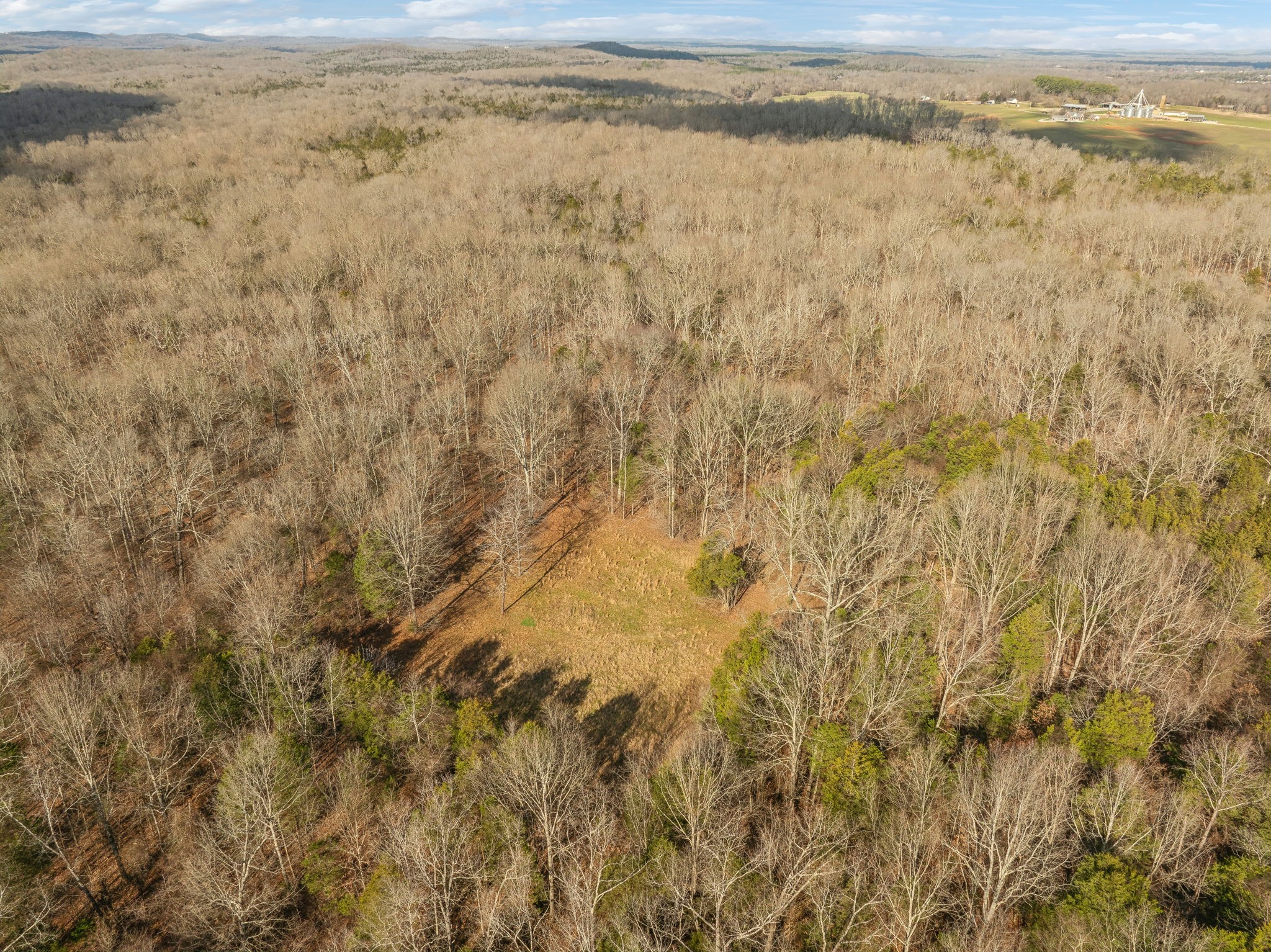 0 Franklin Pike Property Photo 8