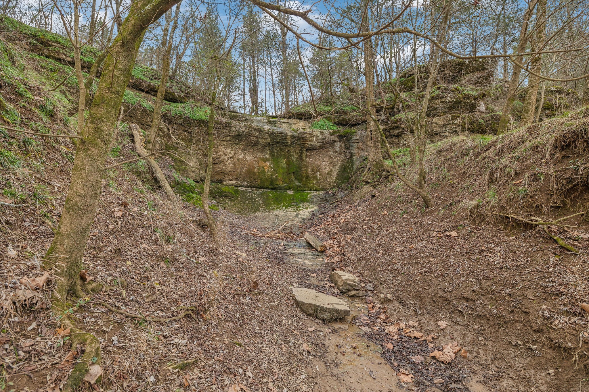 0 Franklin Pike Property Photo 9