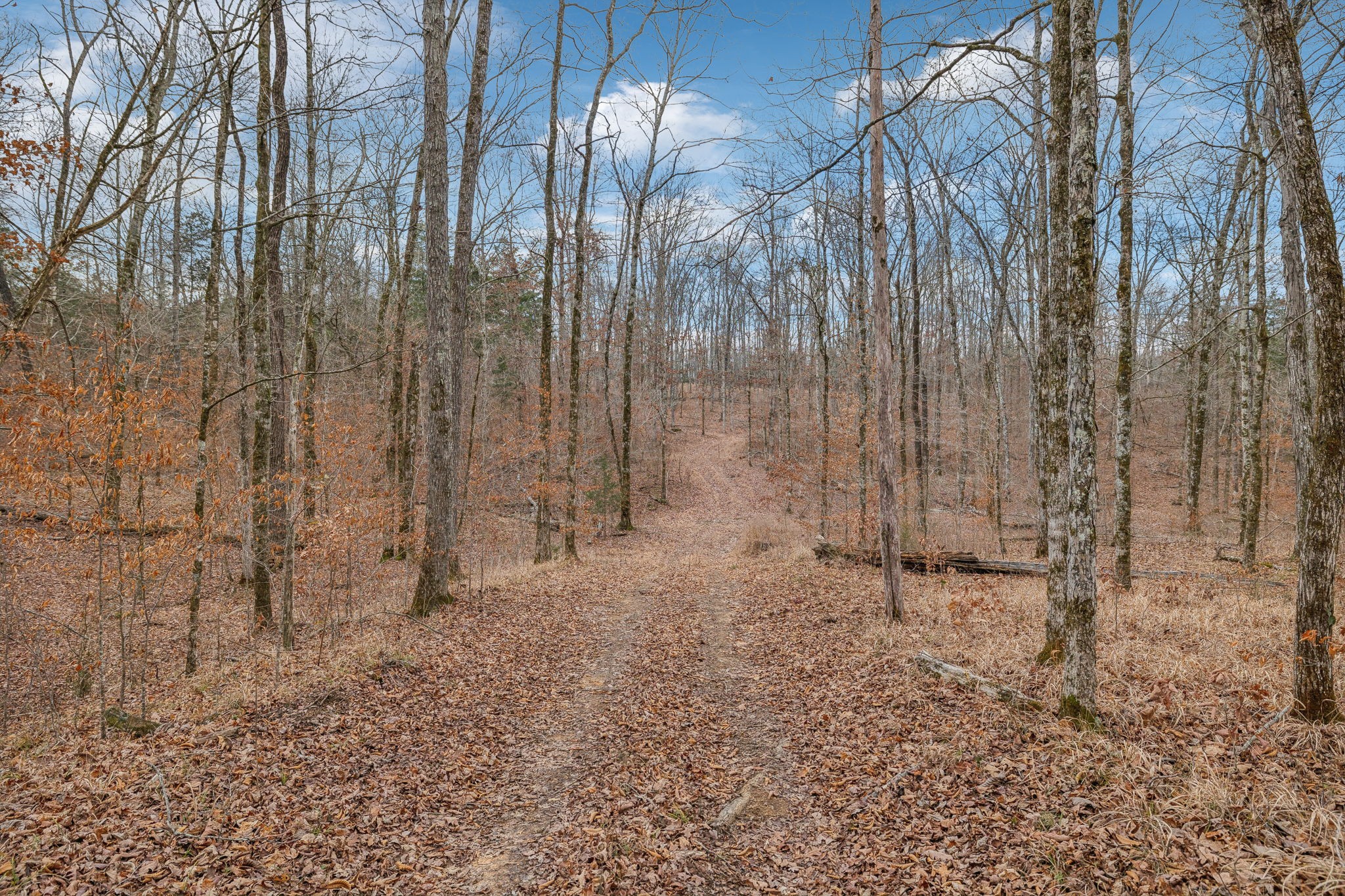 0 Franklin Pike Property Photo 13