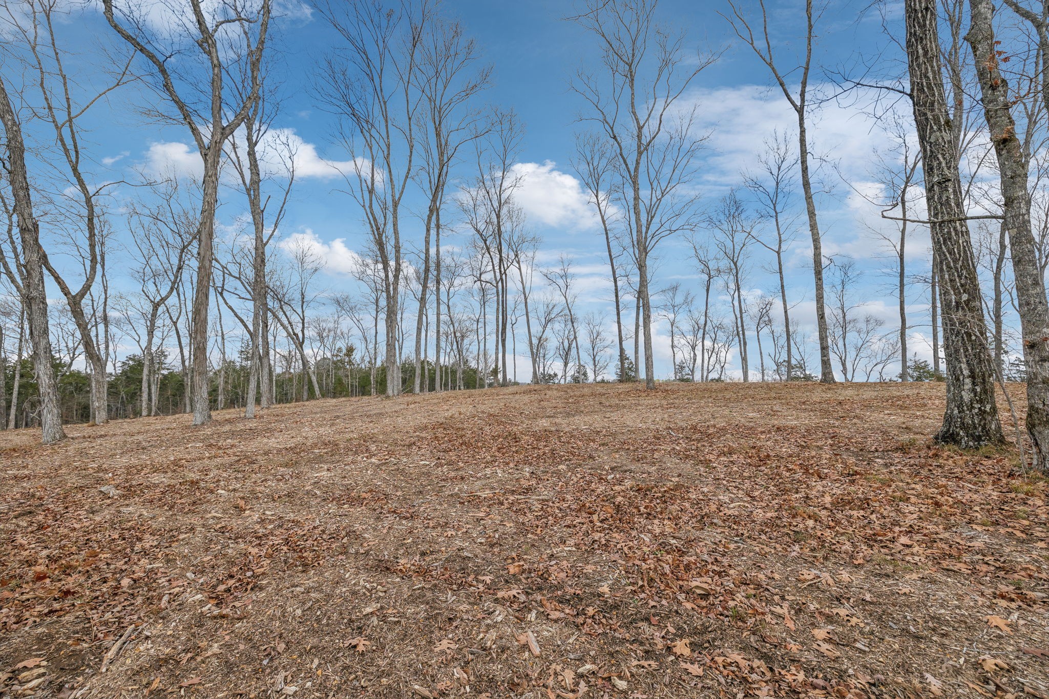 0 Franklin Pike Property Photo 14
