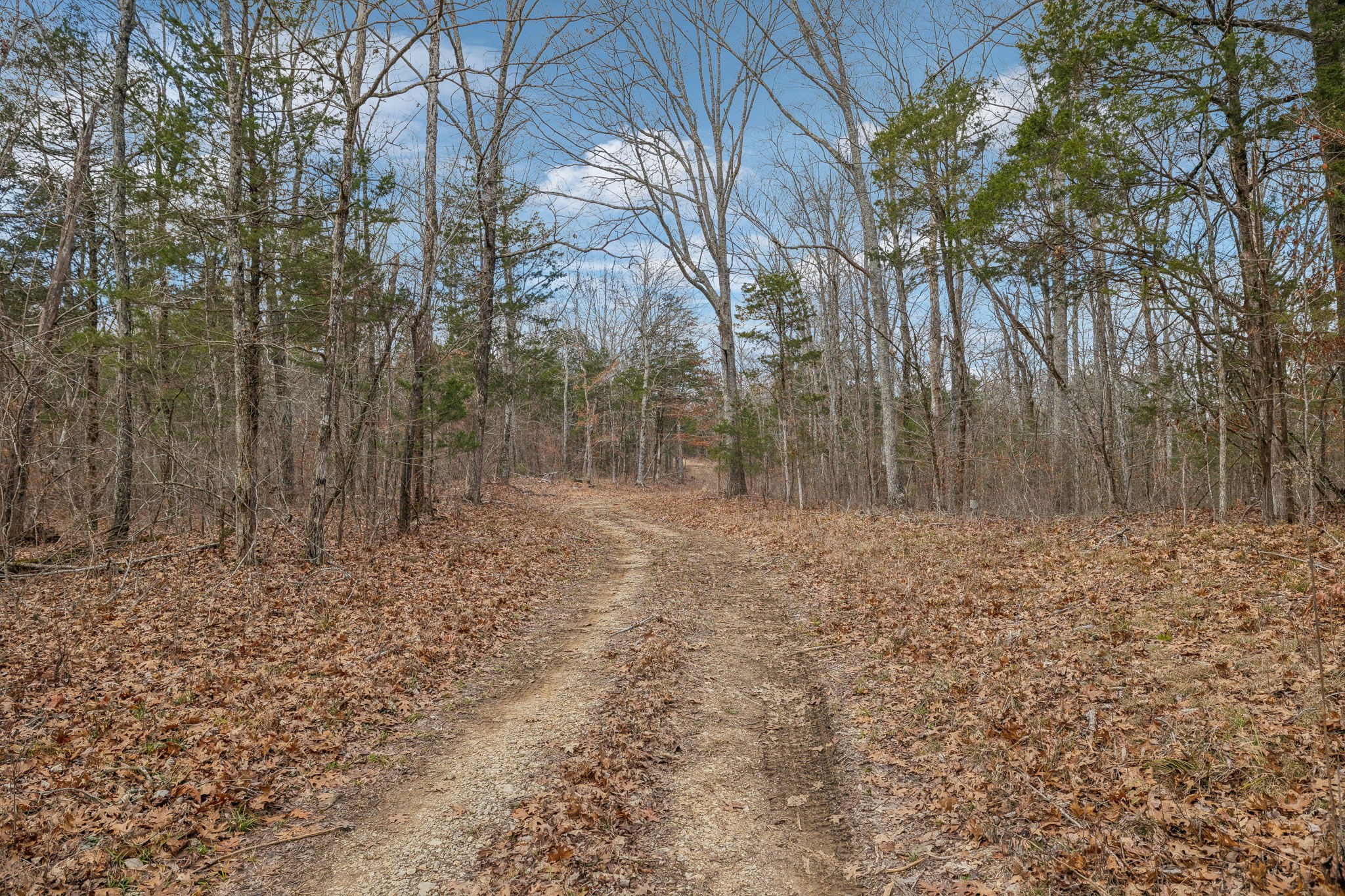 0 Franklin Pike Property Photo 15