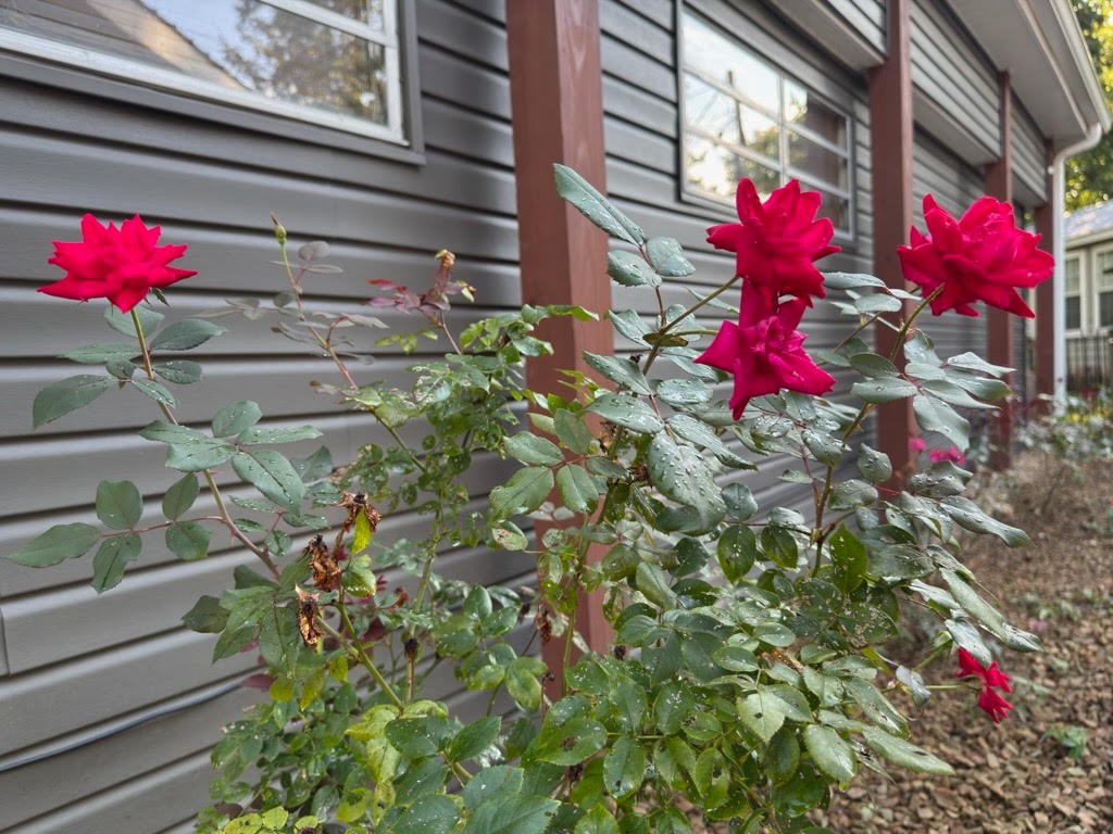 48 Apache Trl Property Photo 5