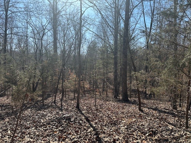 0 S Lick Creek Property Photo 1