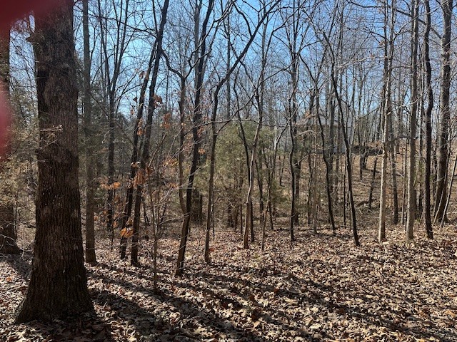 0 S Lick Creek Property Photo 2