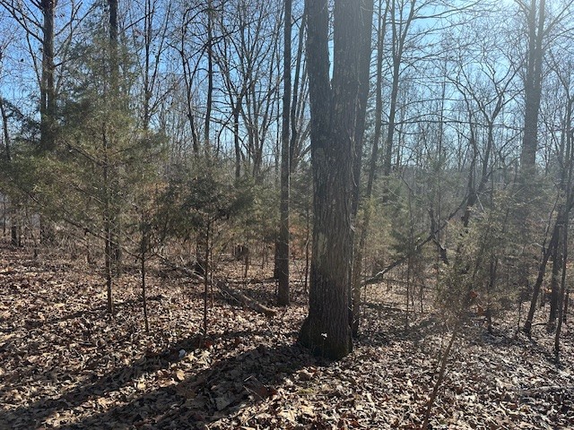 0 S Lick Creek Property Photo 3