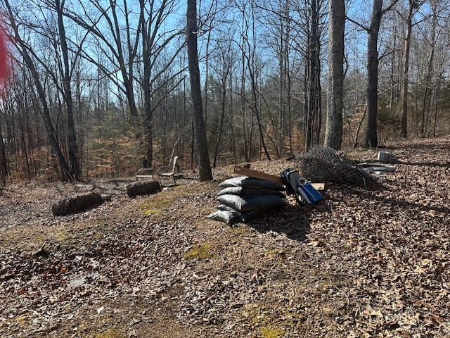 0 S Lick Creek Property Photo 4