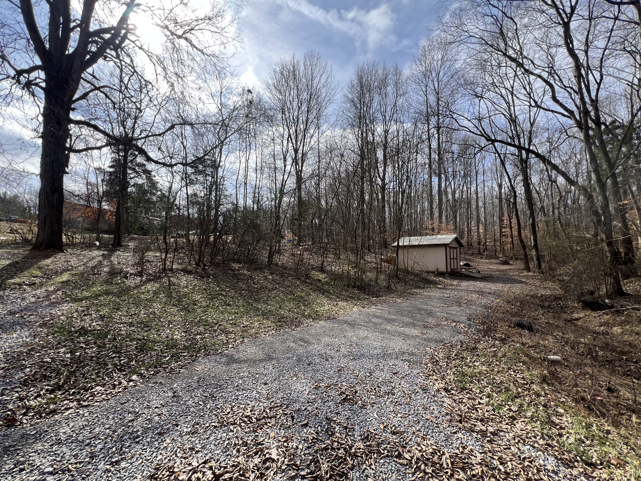1049 Lena Rosson Rd Property Photo 15