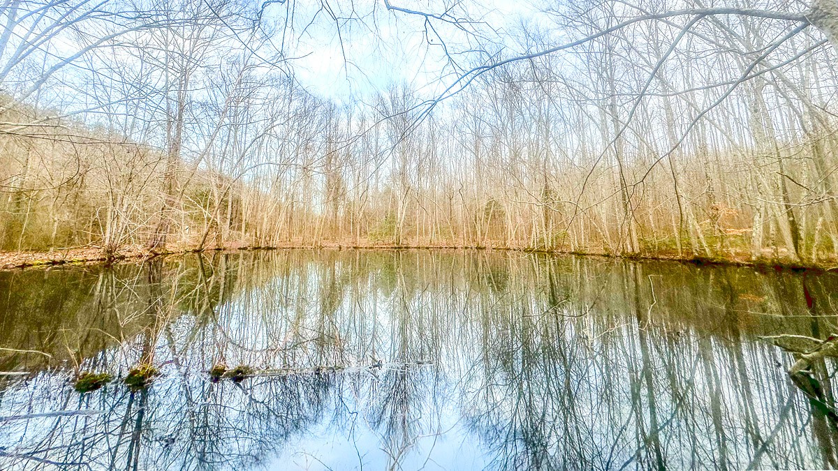 0 Johnson Mill Branch Road Property Photo