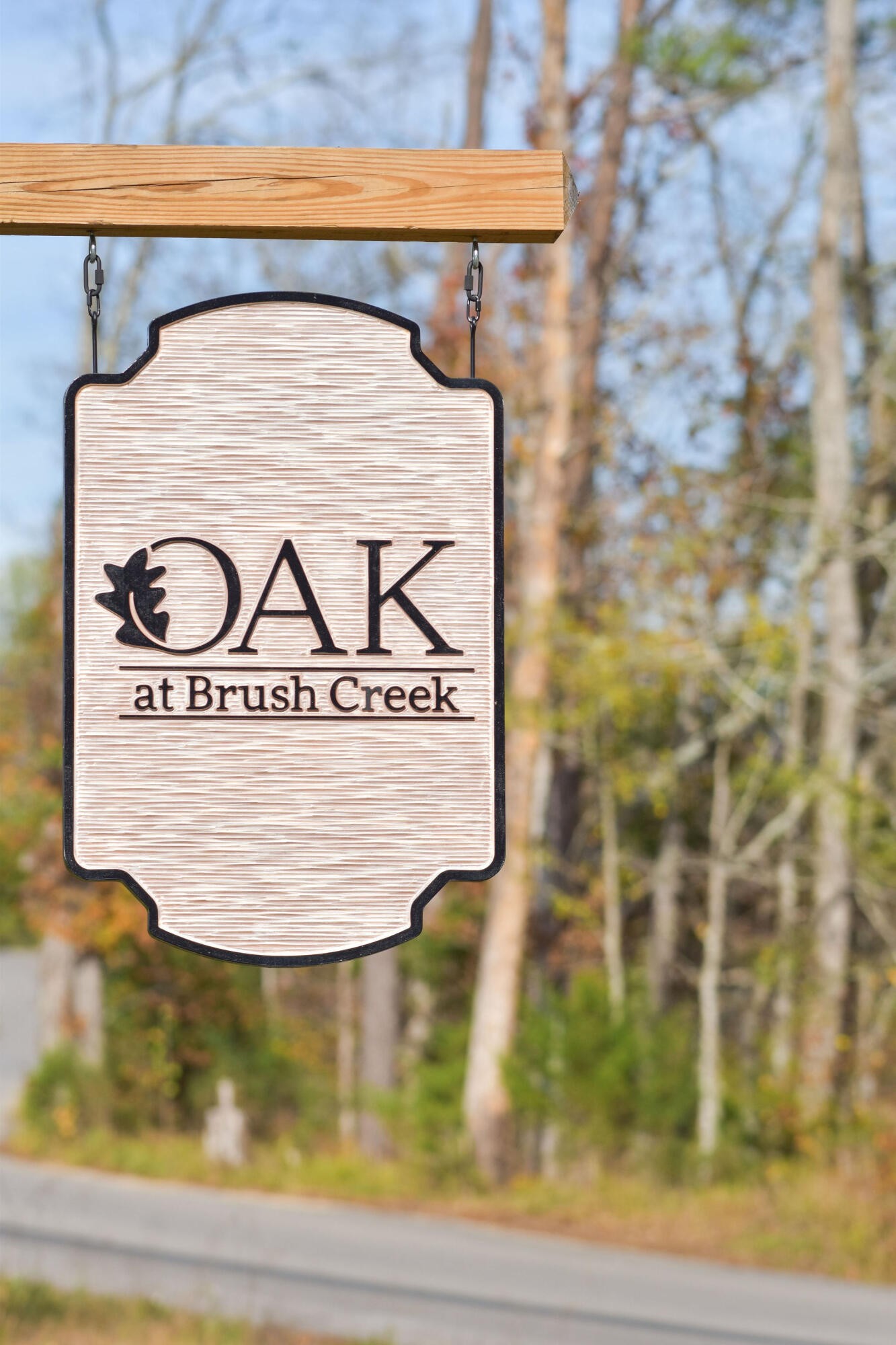 249 Bear Oak Drive Property Photo 47