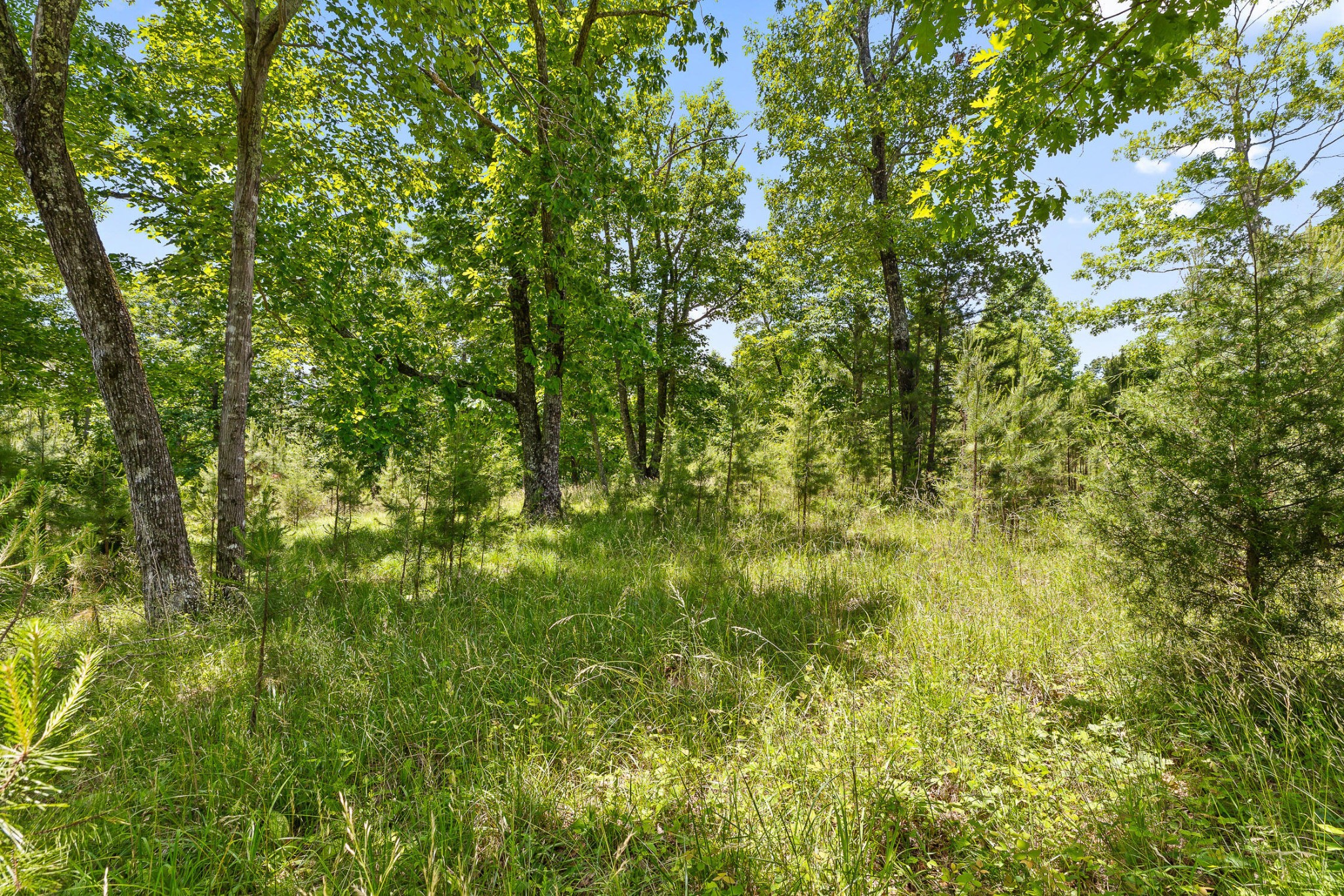 0 Fredonia Drive Property Photo 24