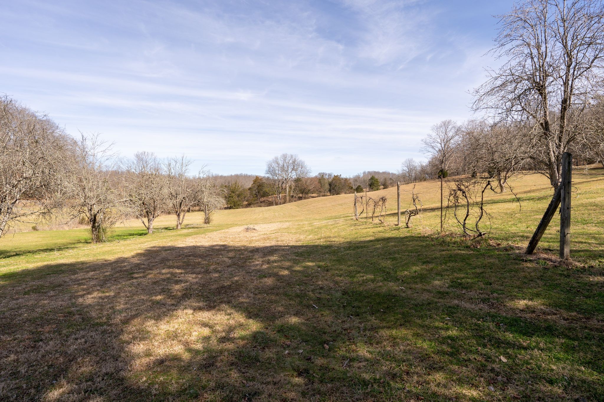 1214 Highway 70 Property Photo 3