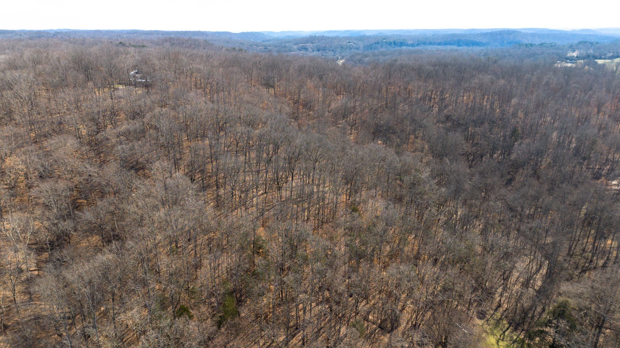 1214 Highway 70 Property Photo 46