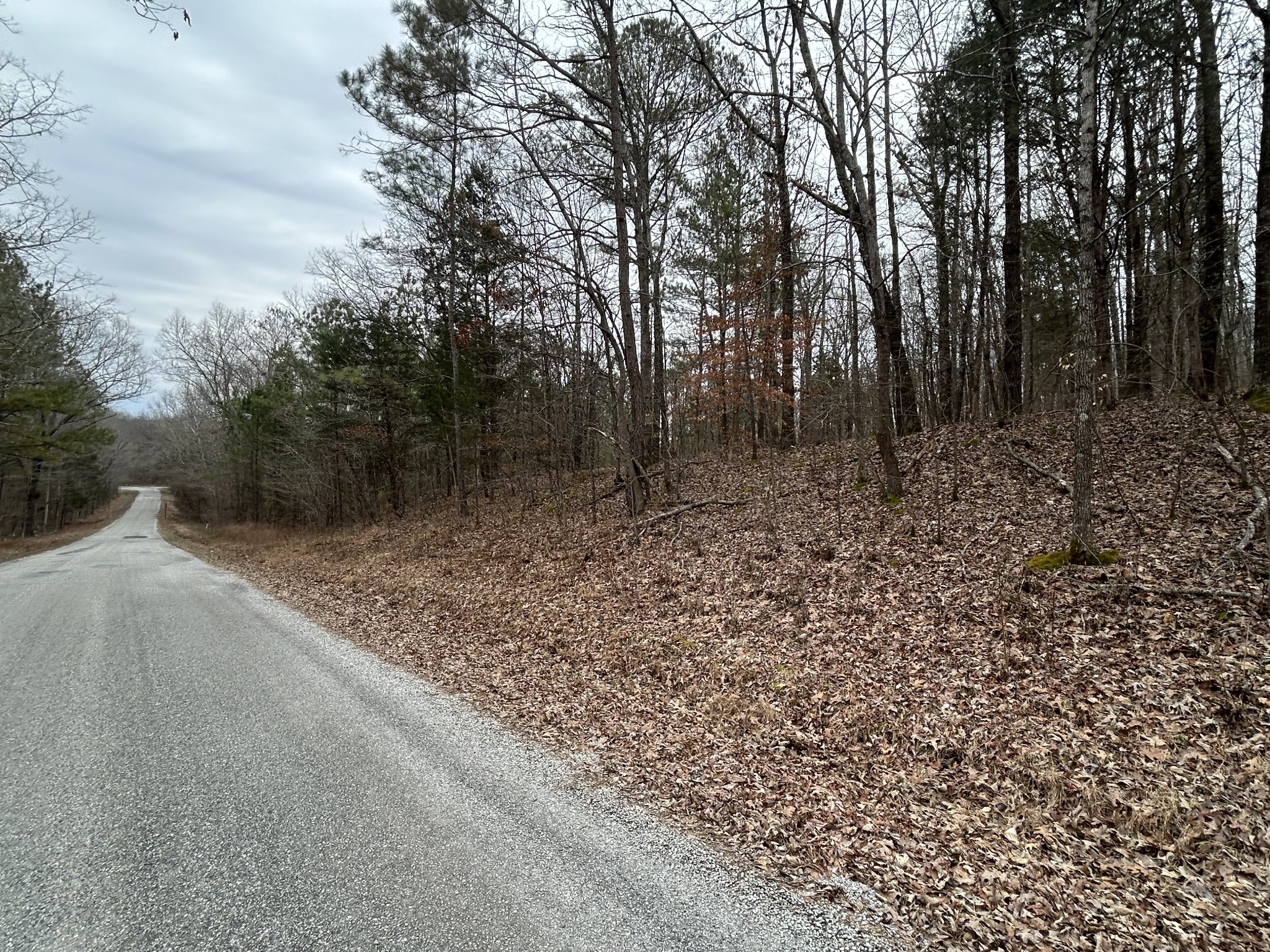 0 Doherty Store Rd Property Photo 3