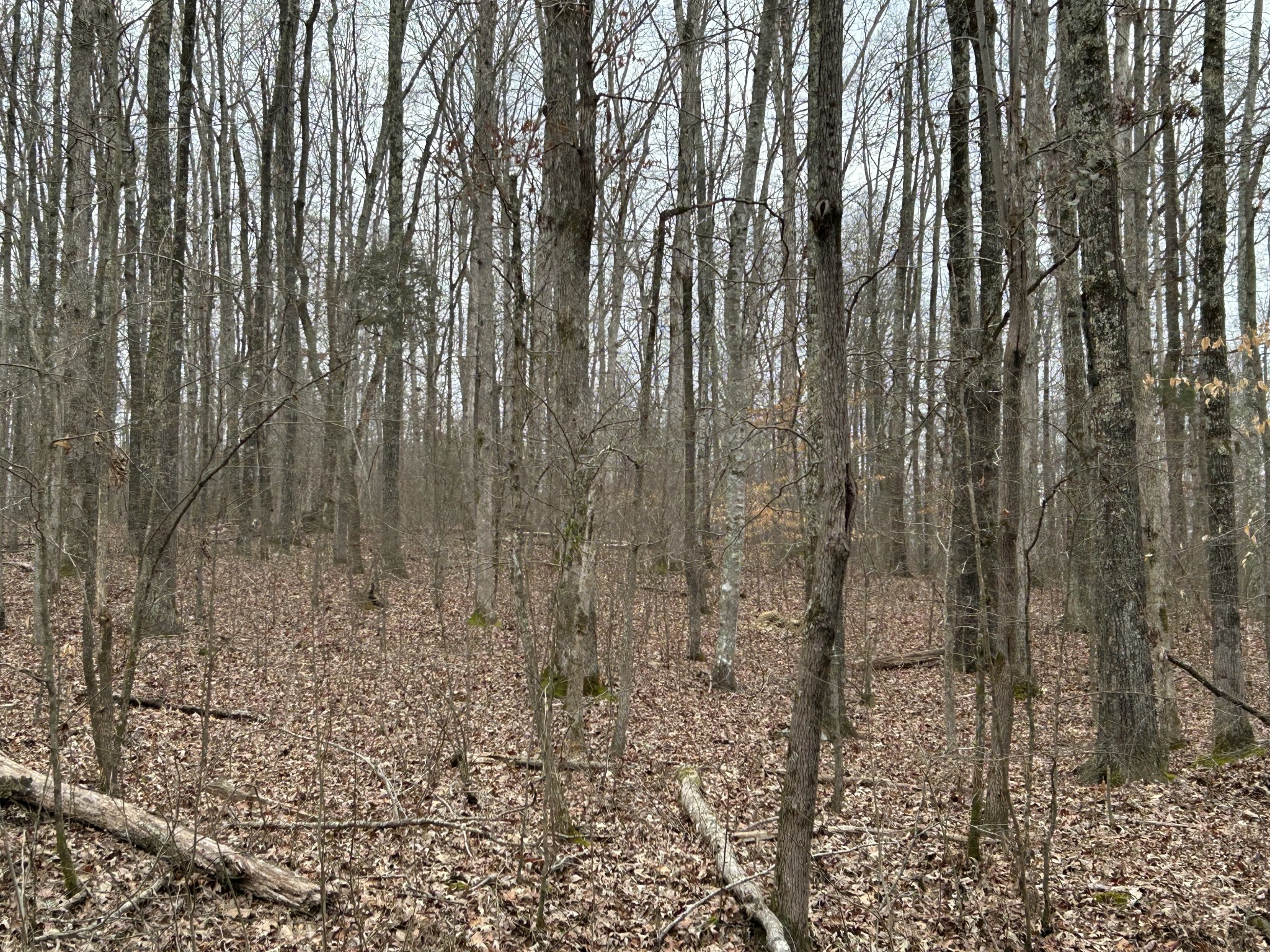 0 Doherty Store Rd Property Photo 4